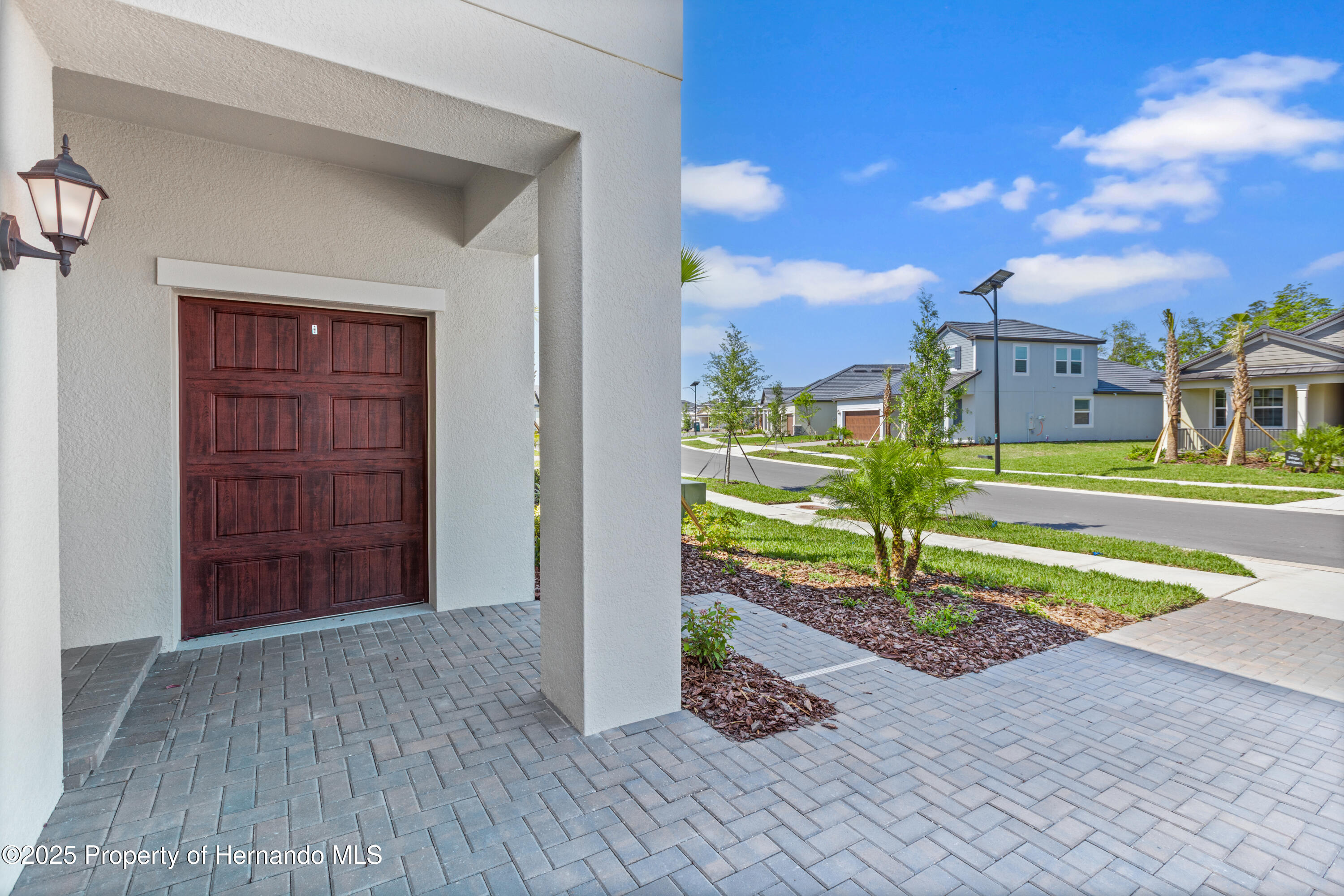 9675 Minnow Ray Drive, LAND O LAKES, Florida image 4