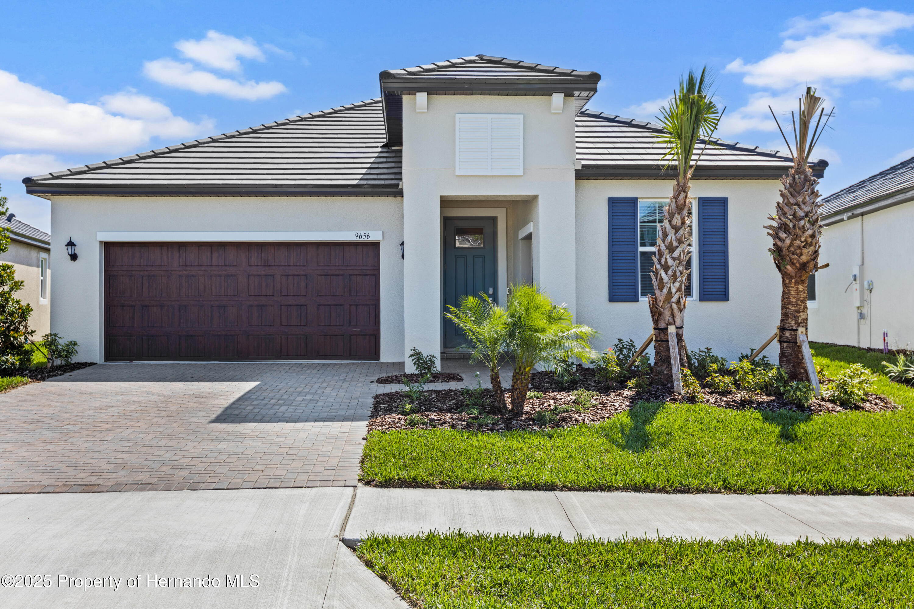 9675 Minnow Ray Drive, LAND O LAKES, Florida image 2