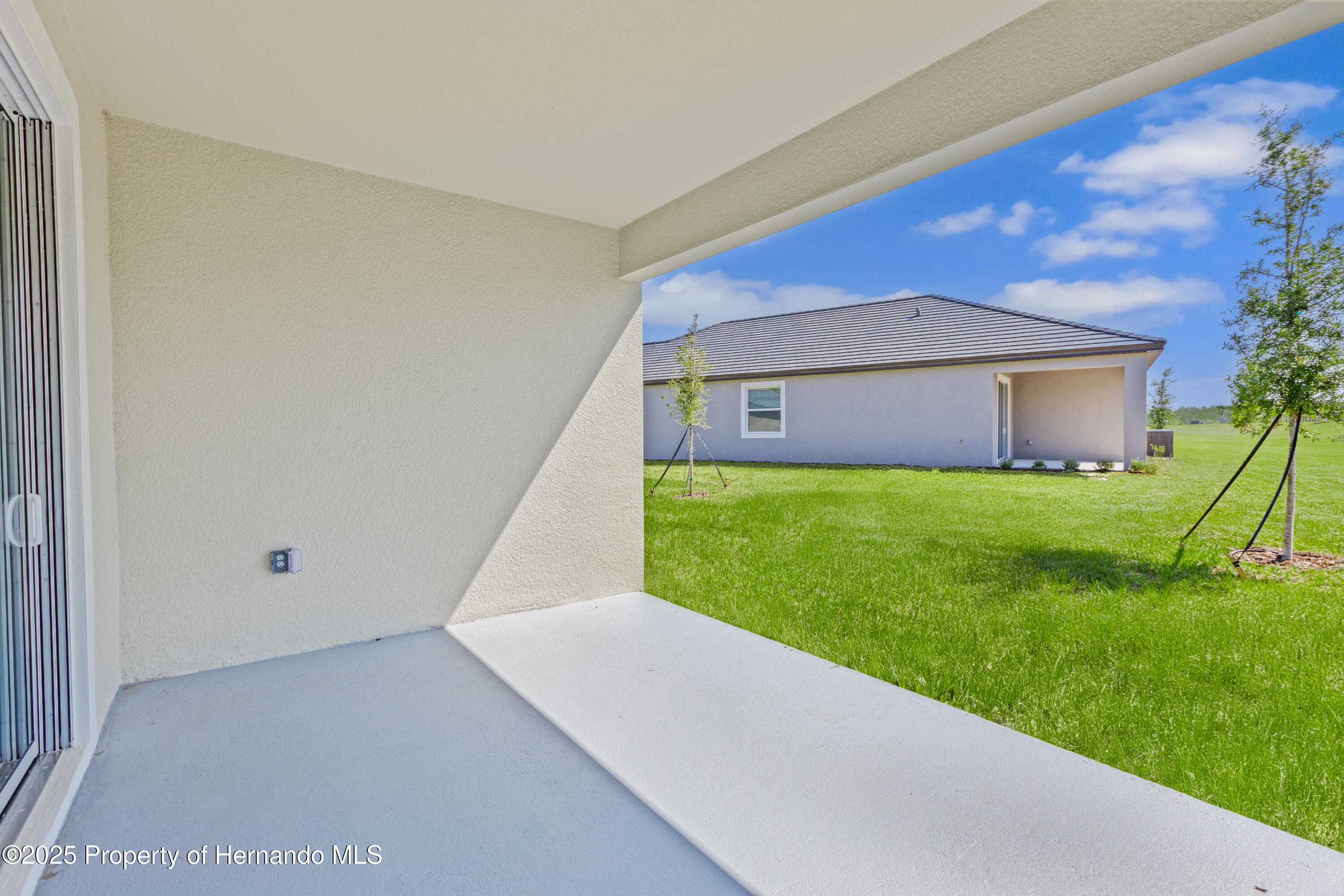 9675 Minnow Ray Drive, LAND O LAKES, Florida image 9