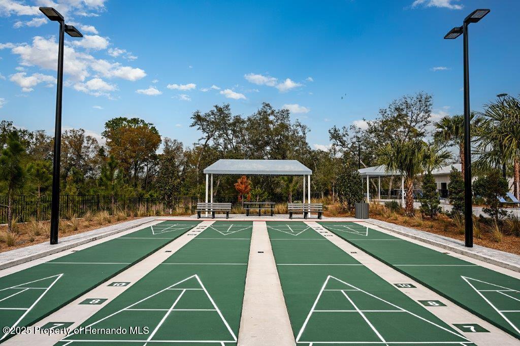 9675 Minnow Ray Drive, LAND O LAKES, Florida image 39
