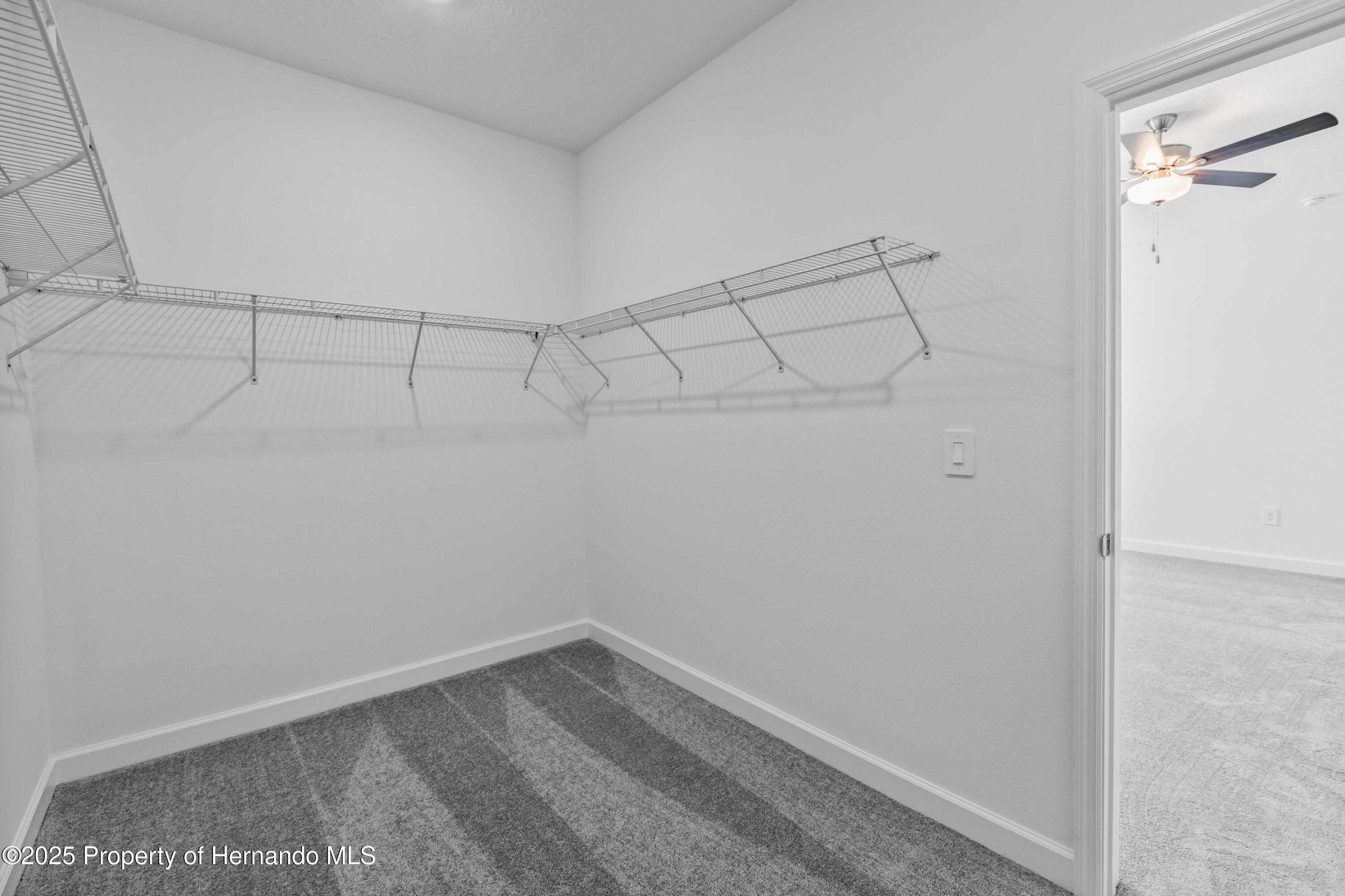9675 Minnow Ray Drive, LAND O LAKES, Florida image 13