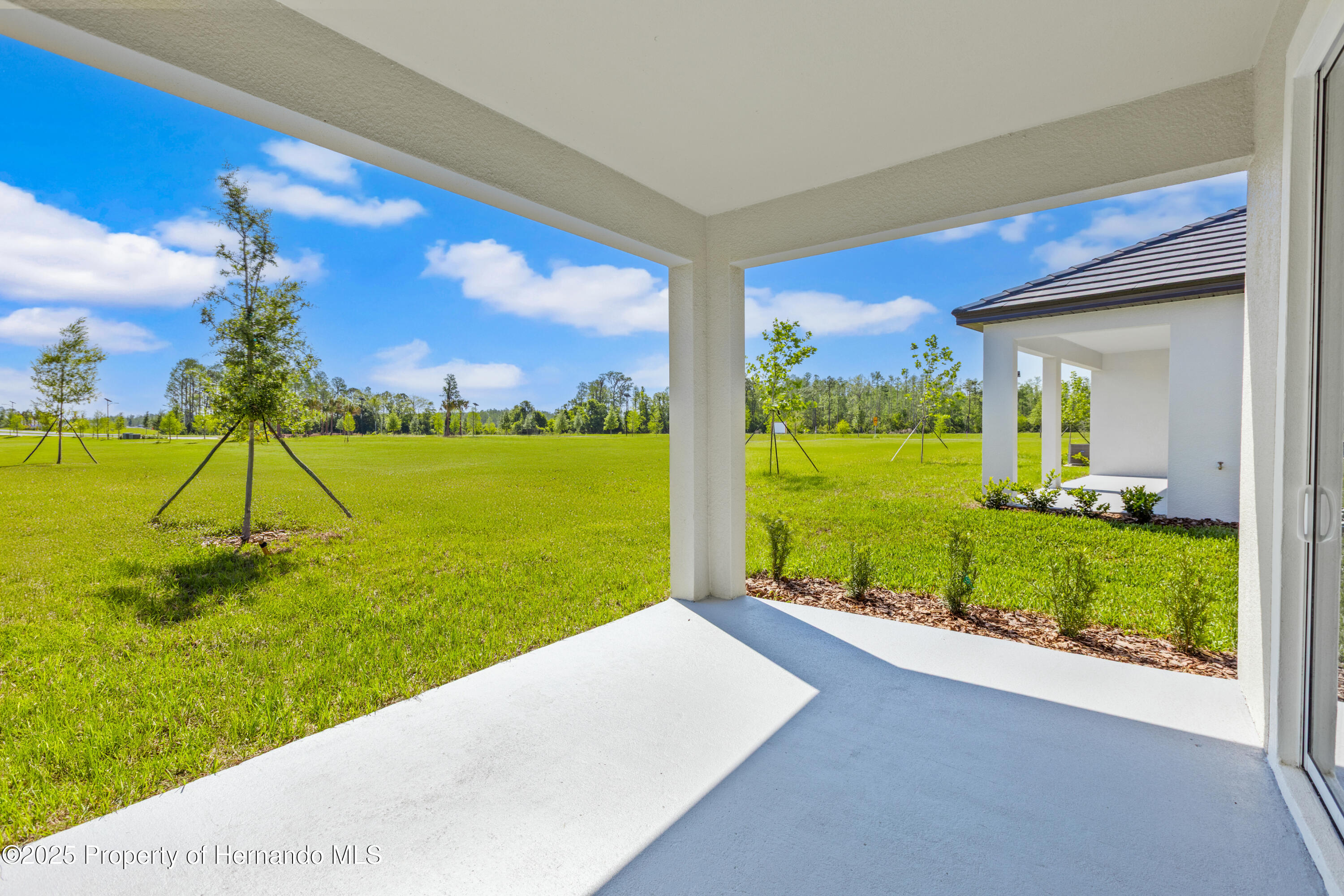 9675 Minnow Ray Drive, LAND O LAKES, Florida image 10