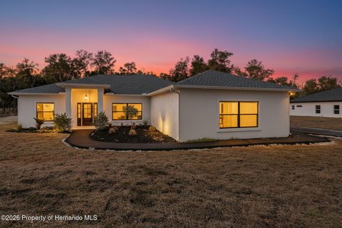 Homes For Sale - 34111 August Avenue<br/> Hernando County, Webster, FL 33597