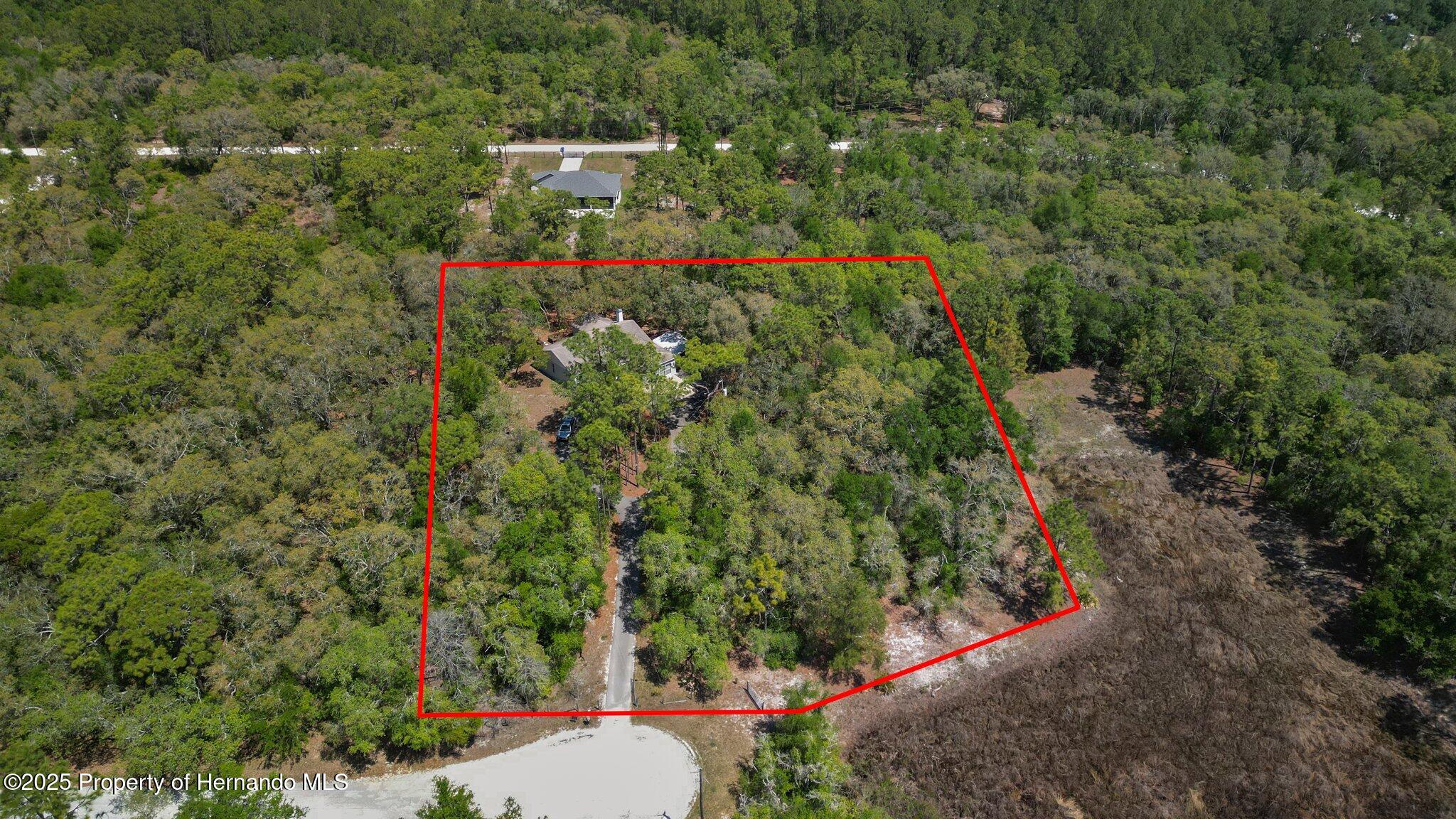 34193 Carpenter Circle, Webster, Florida image 38