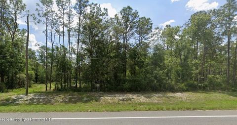 Vacant Land For Sale - 7430 Treiman Boulevard<br/> Webster, FL 33597