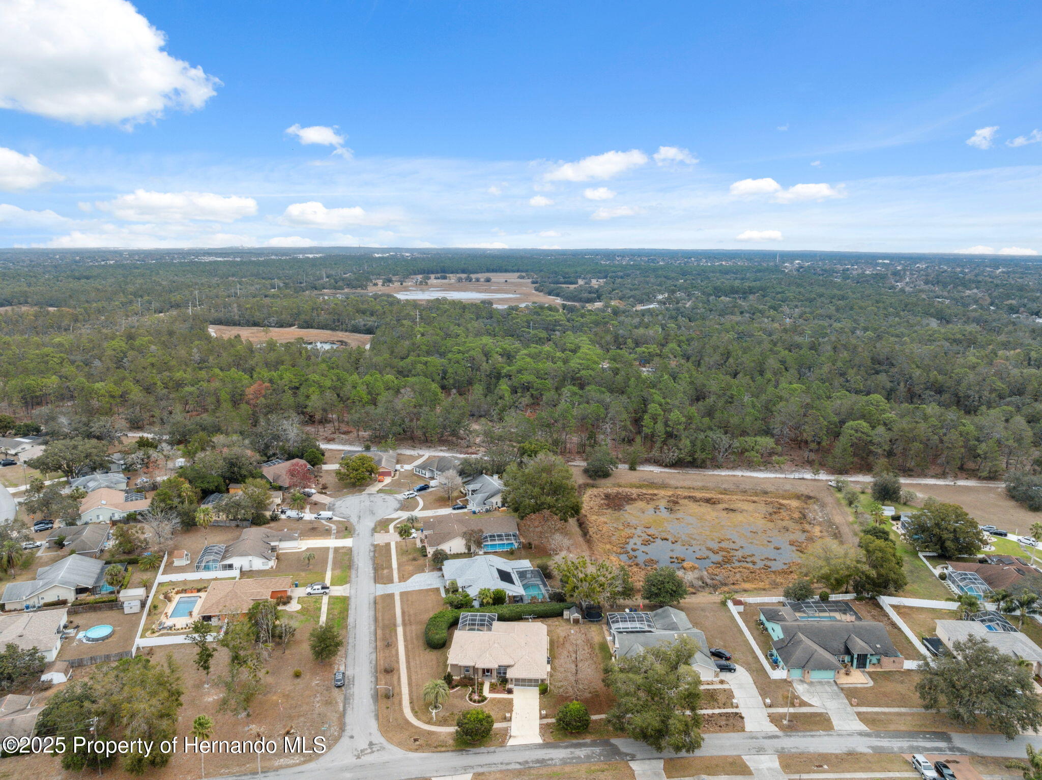 6112 Kinlock Avenue, Spring Hill, Florida image 35