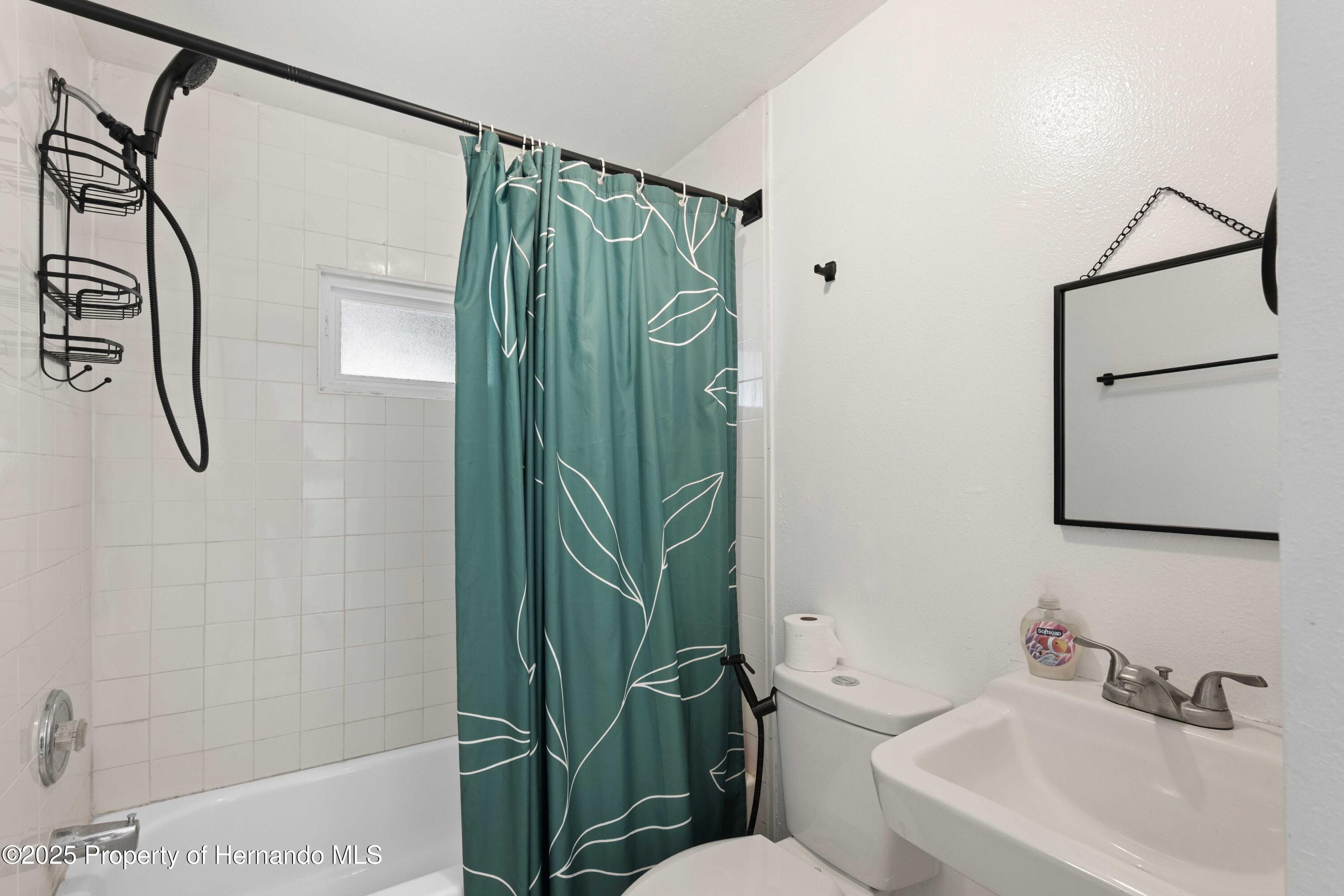 27477 Old Trilby Road, Brooksville, Florida image 32