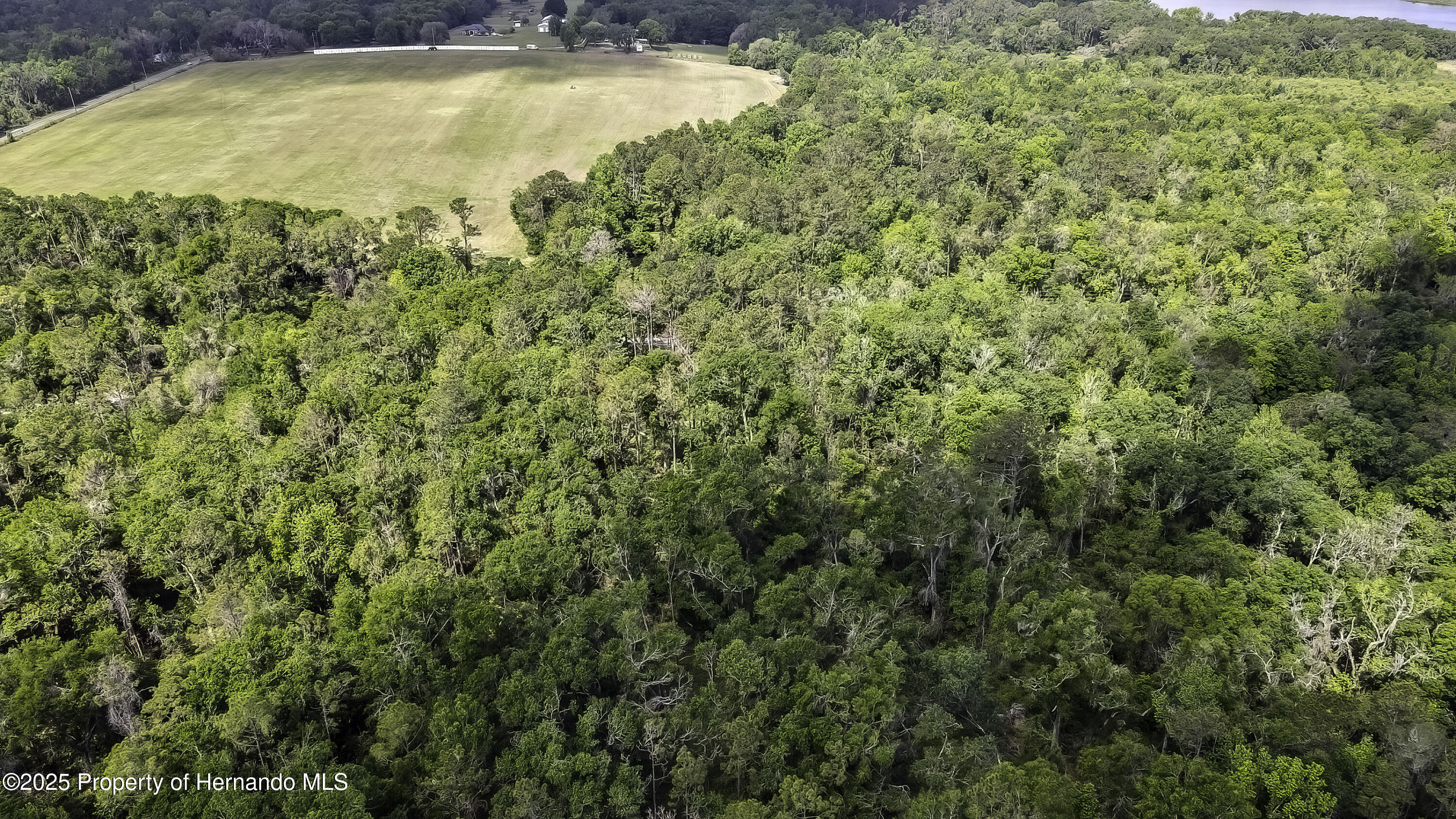 3060 Spring Lake Highway Highway, Brooksville, Florida image 6