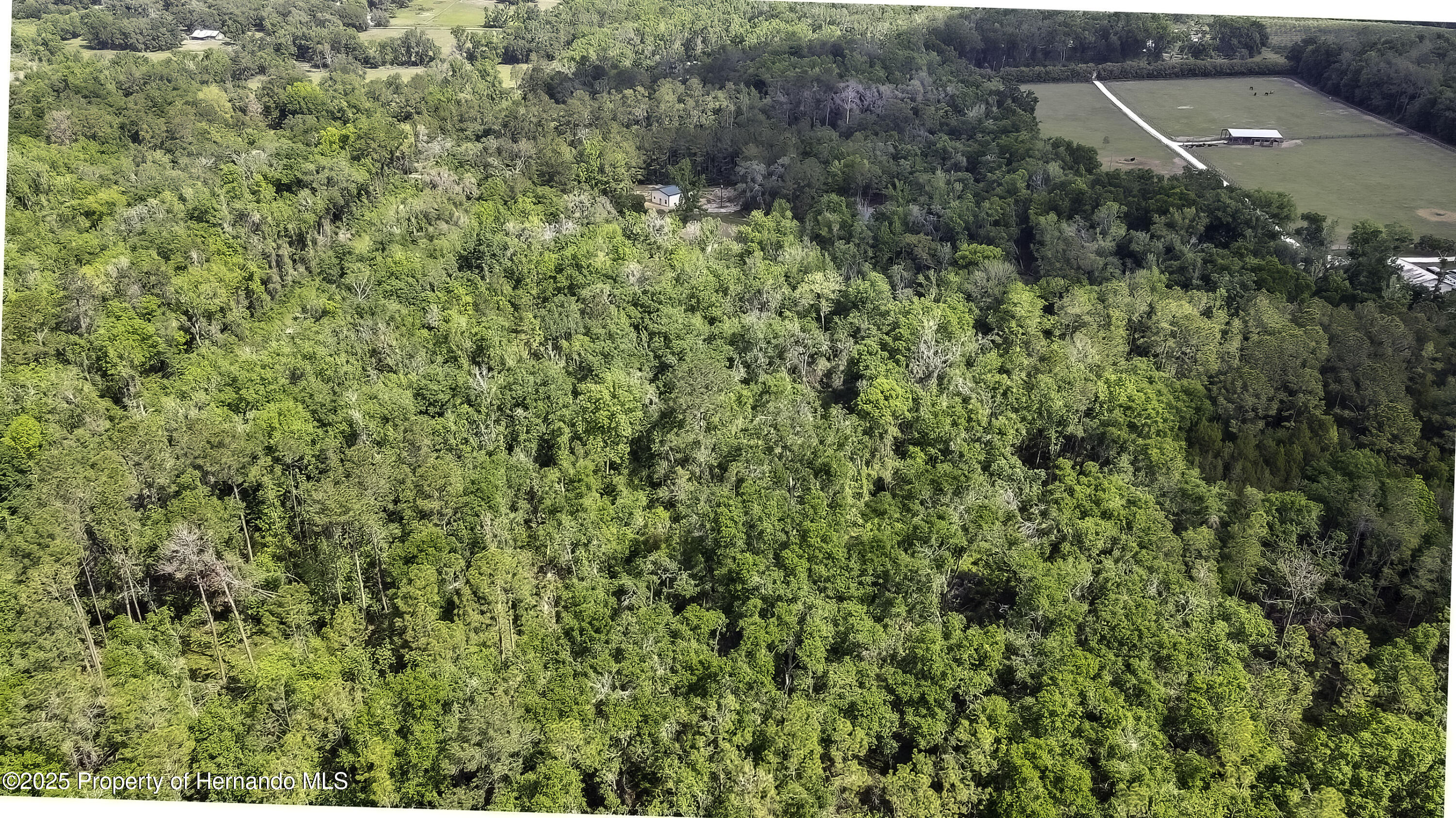 3060 Spring Lake Highway Highway, Brooksville, Florida image 4