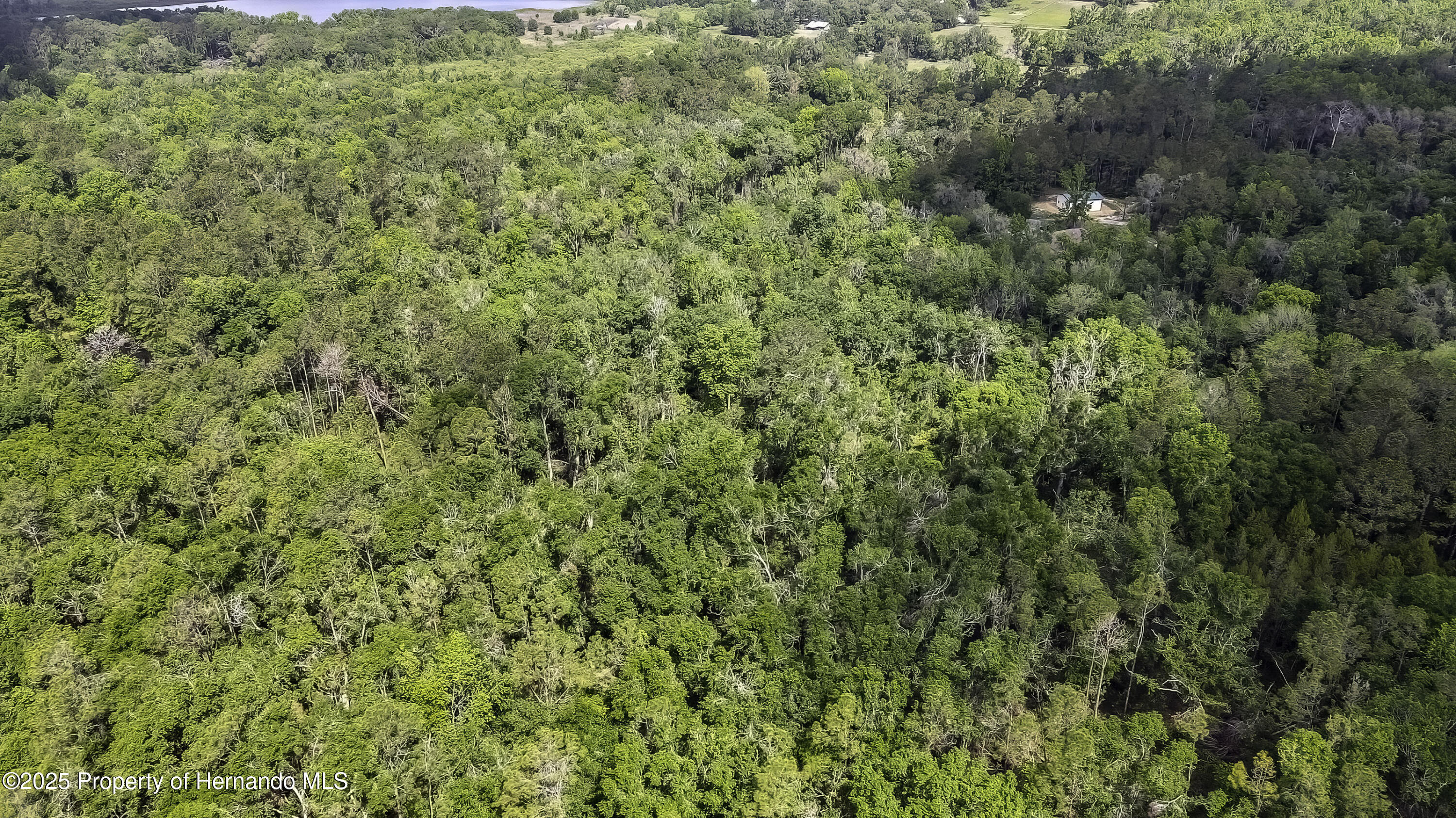 3060 Spring Lake Highway Highway, Brooksville, Florida image 5