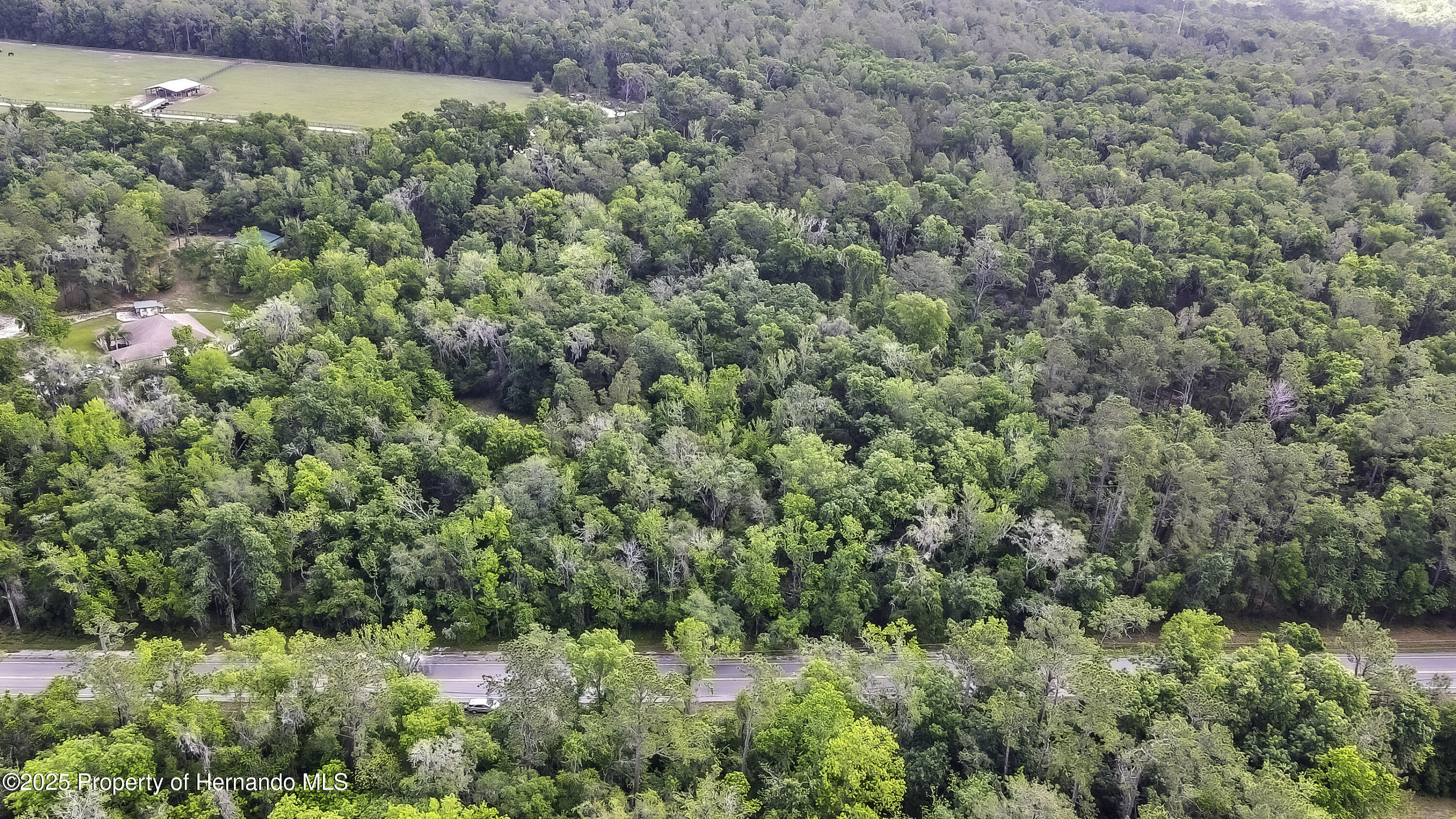 3060 Spring Lake Highway Highway, Brooksville, Florida image 9