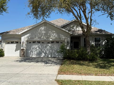 Homes For Sale - 13531 Hunters Point Street<br/> Hernando County, Spring Hill, FL 34608