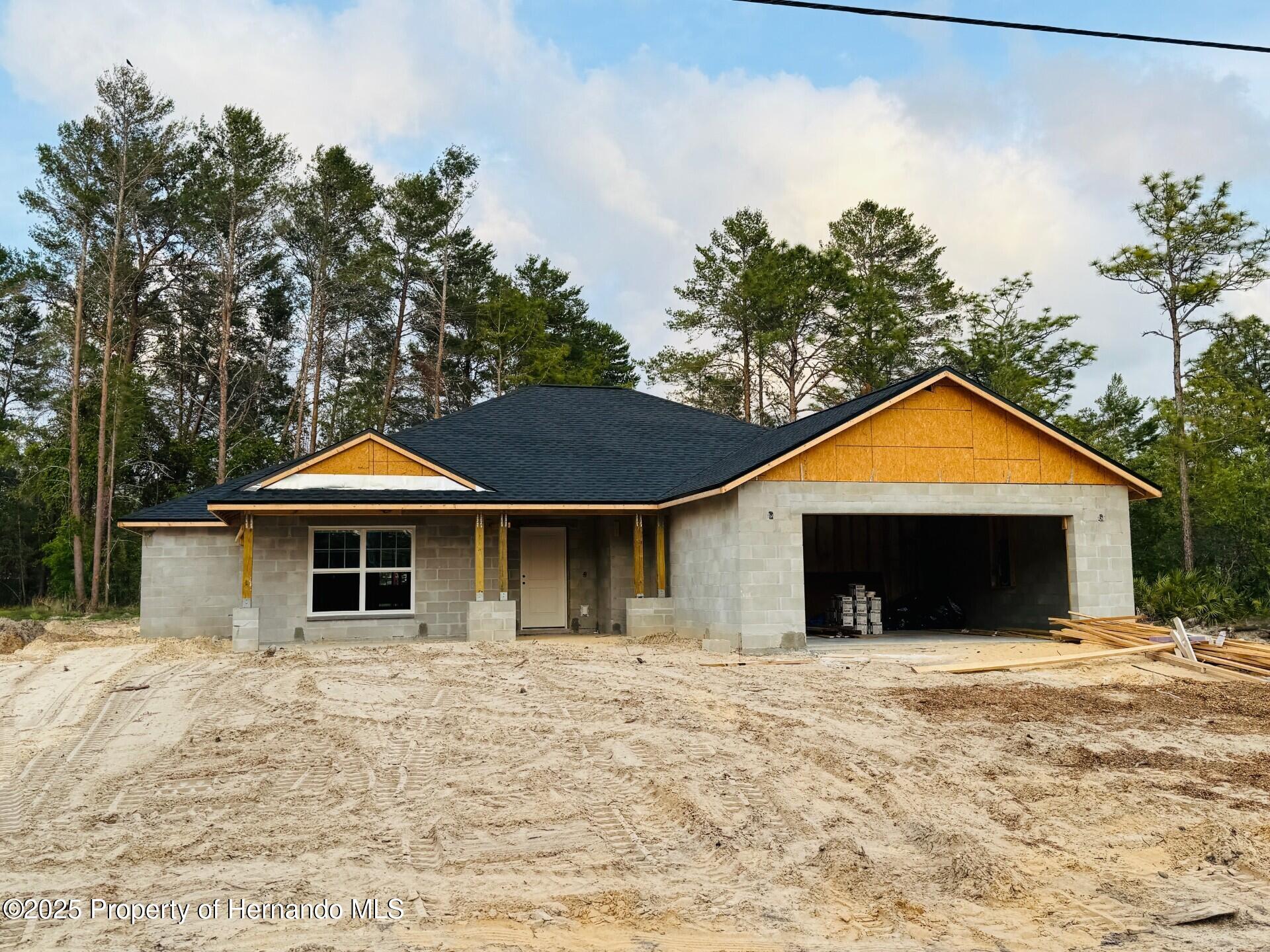 11406 Labrador Duck Road, Weeki Wachee, Florida image 1