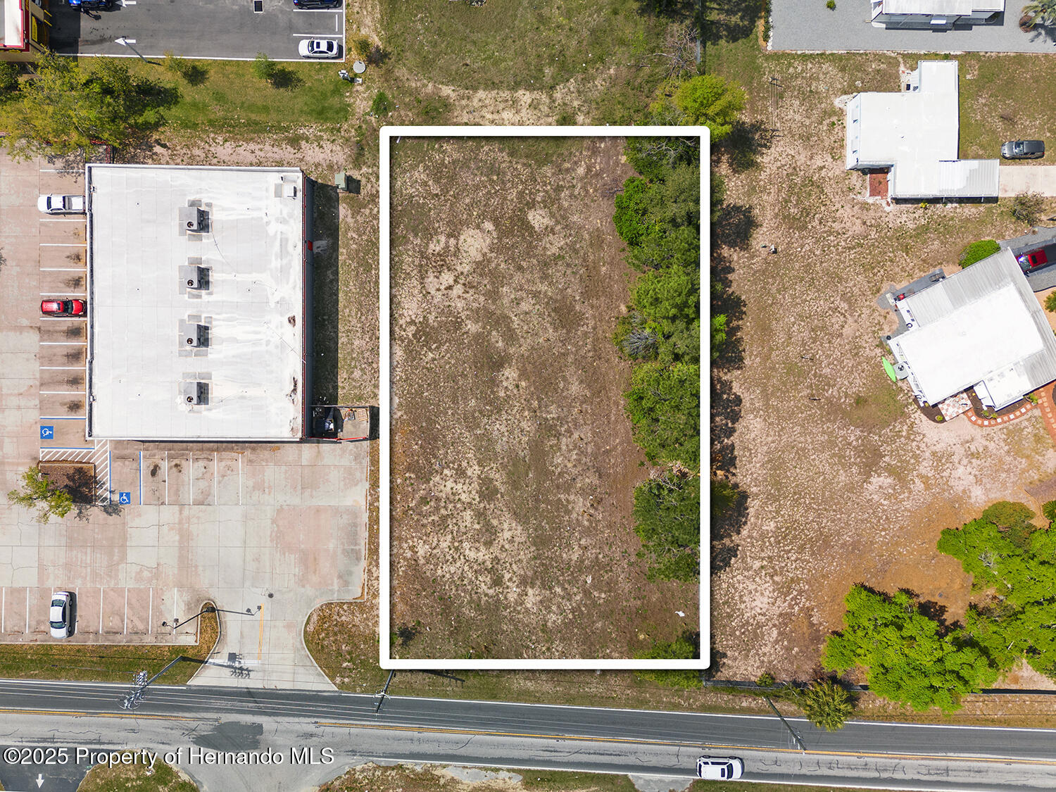 000 Weeping Willow Street, Brooksville, Florida image 2
