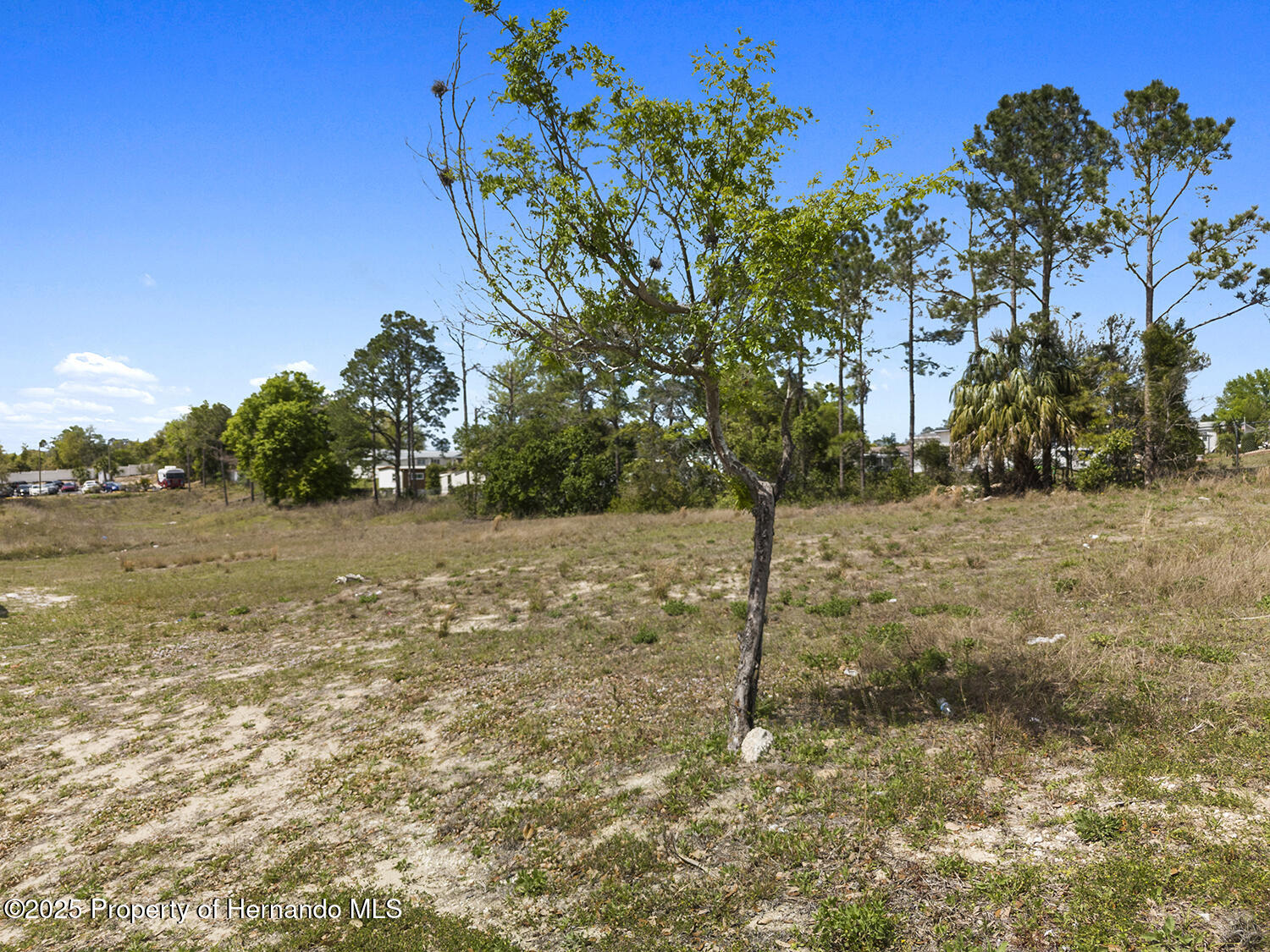 000 Weeping Willow Street, Brooksville, Florida image 12