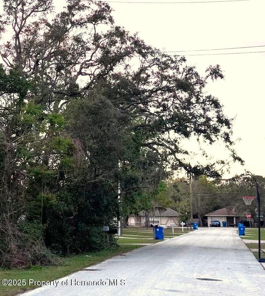Markham Avenue, Spring Hill, Florida image 2