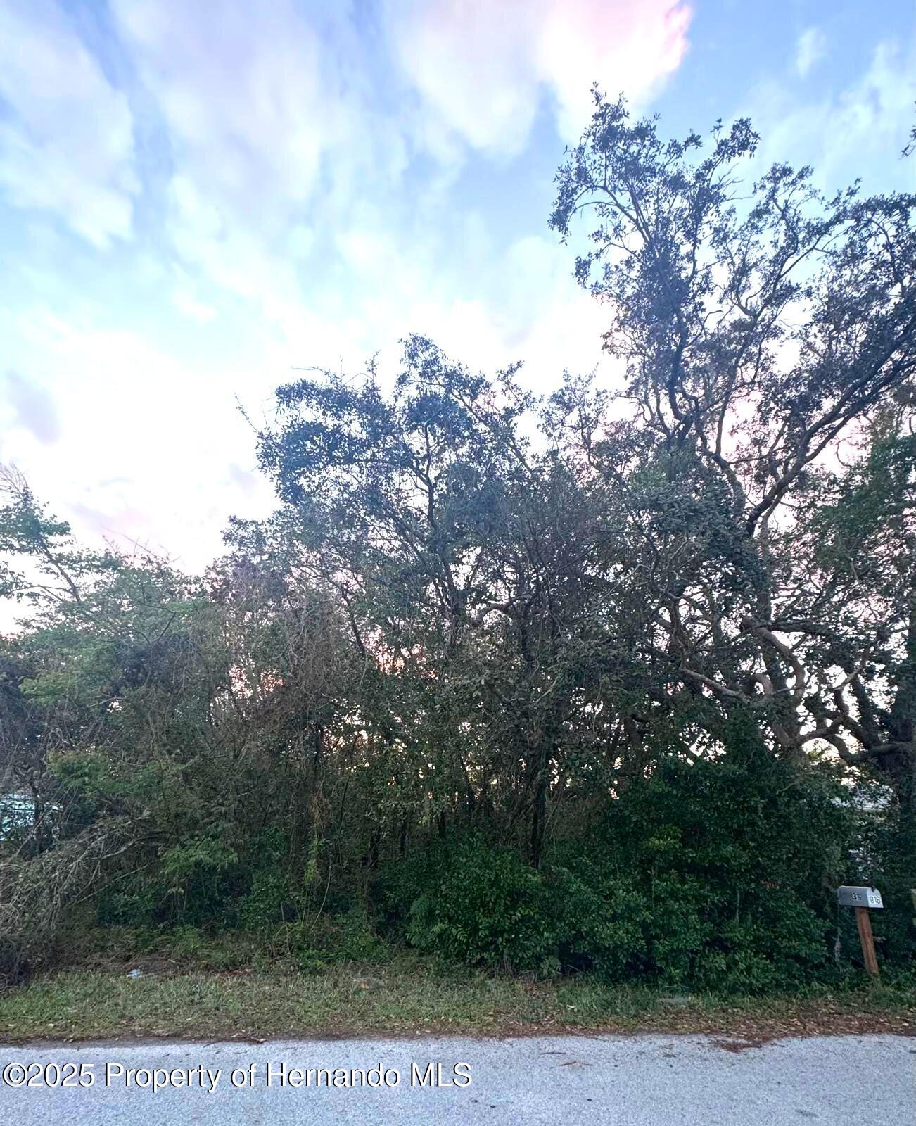 Markham Avenue, Spring Hill, Florida image 1