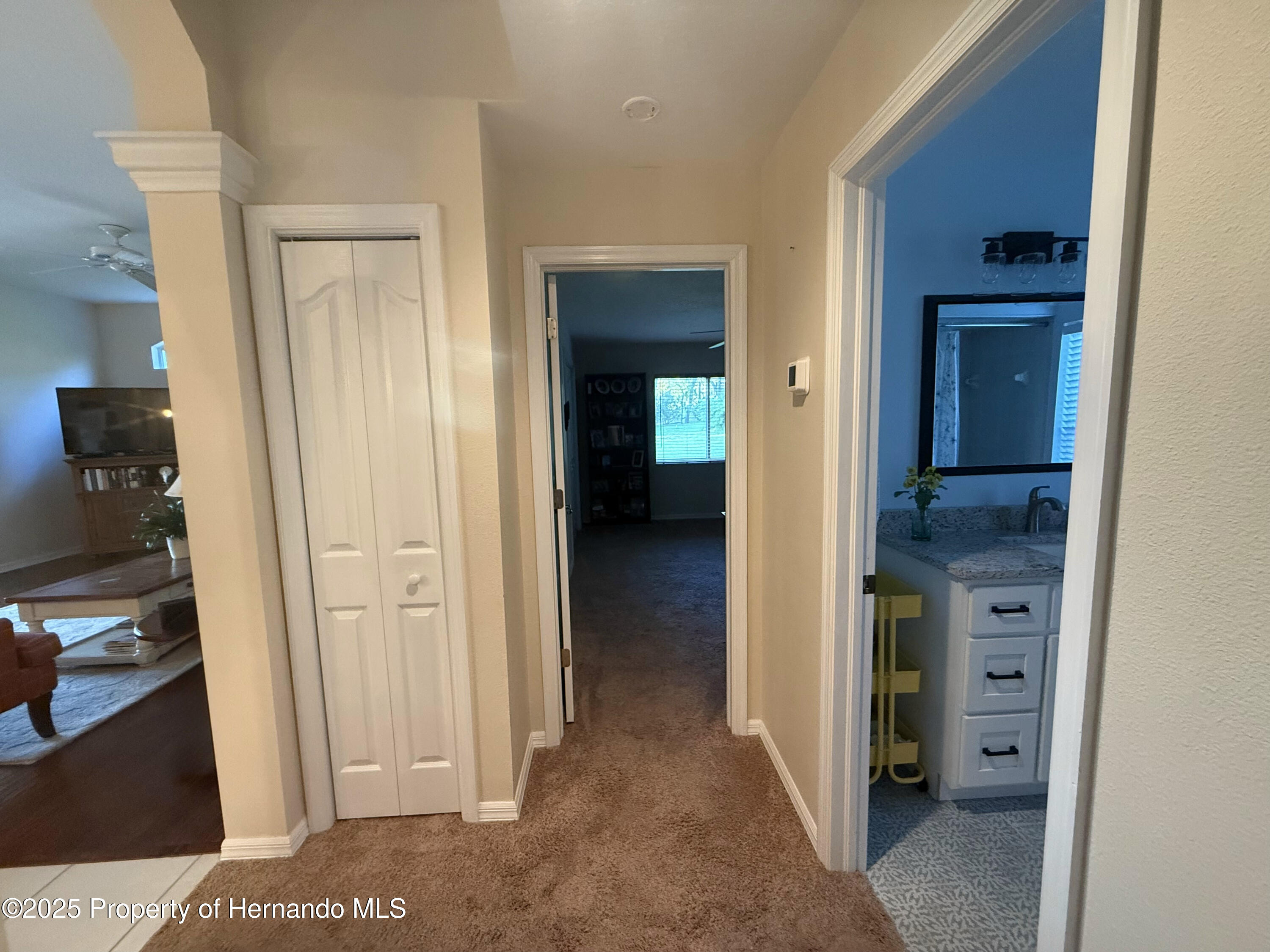 13133 Roseanna Drive, Spring Hill, Florida image 27