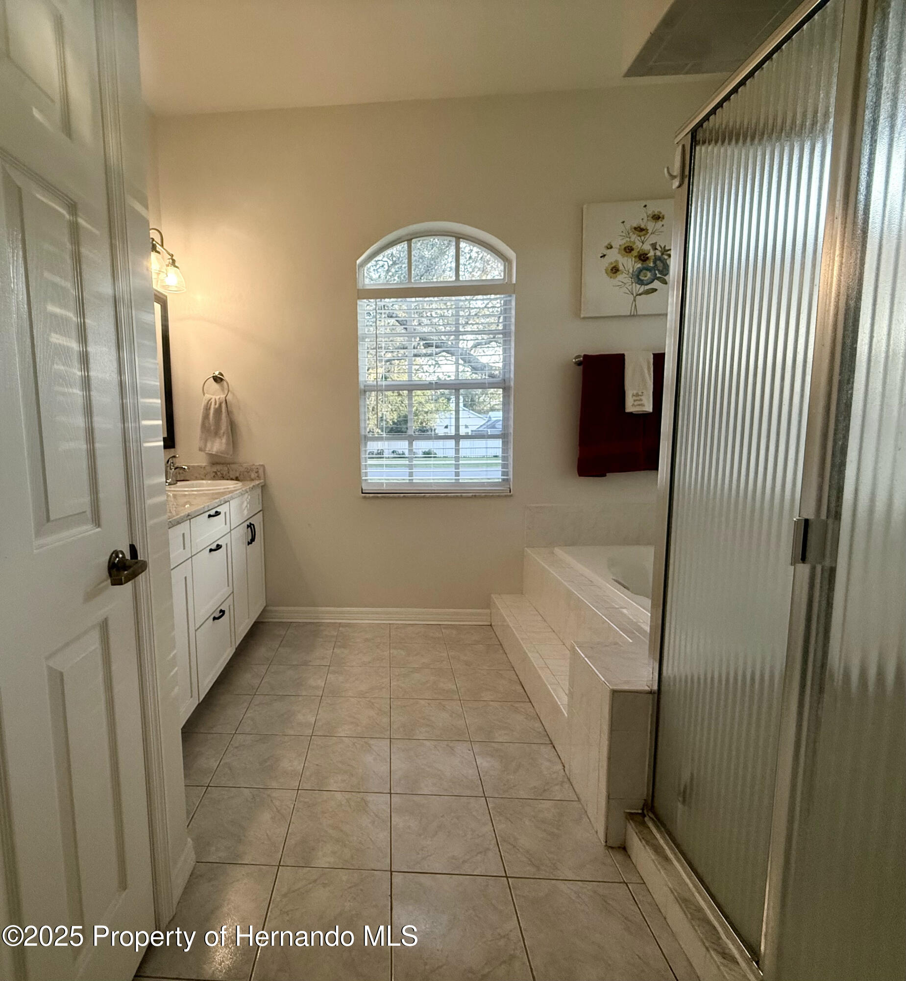13133 Roseanna Drive, Spring Hill, Florida image 33