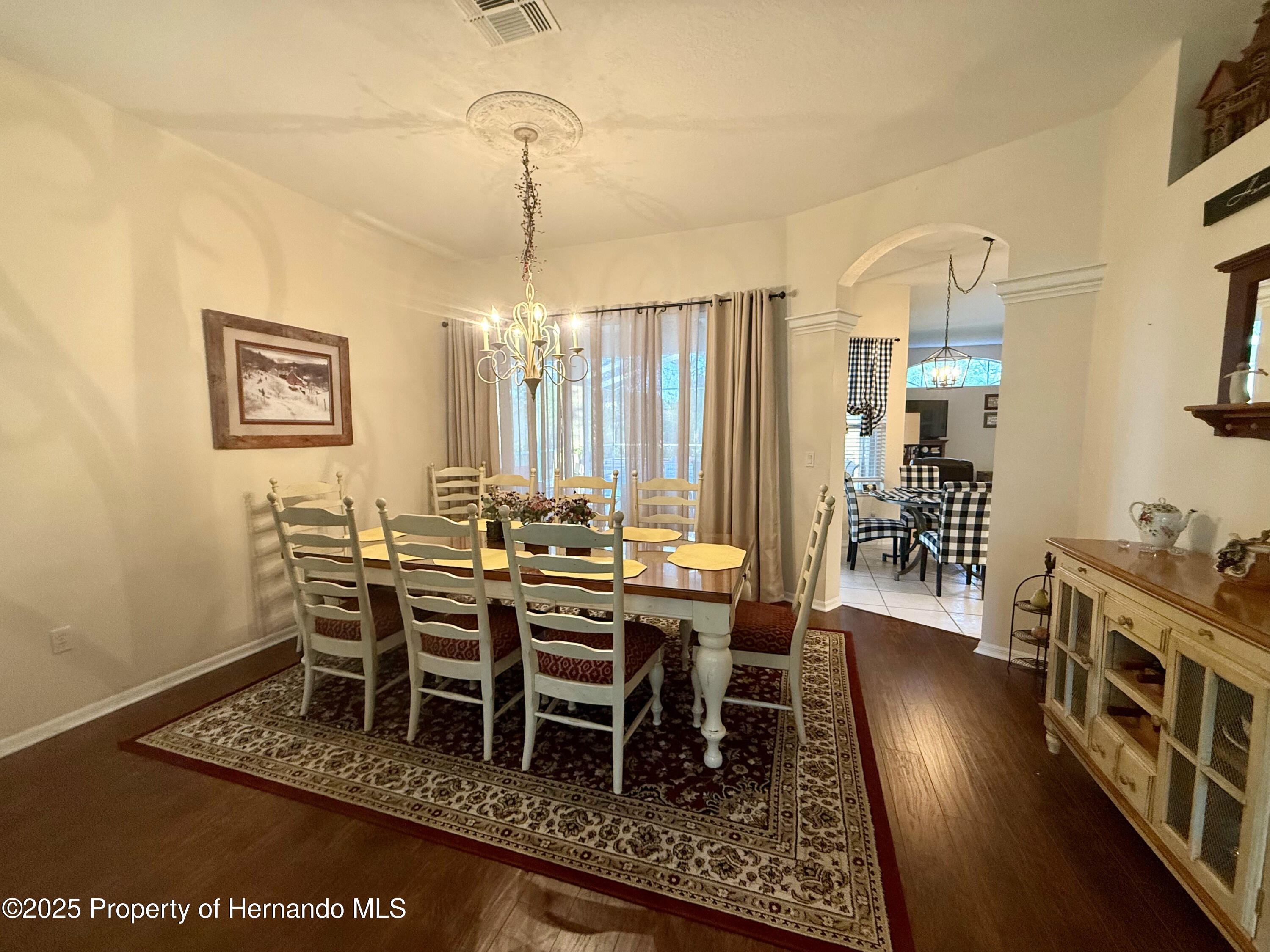13133 Roseanna Drive, Spring Hill, Florida image 44