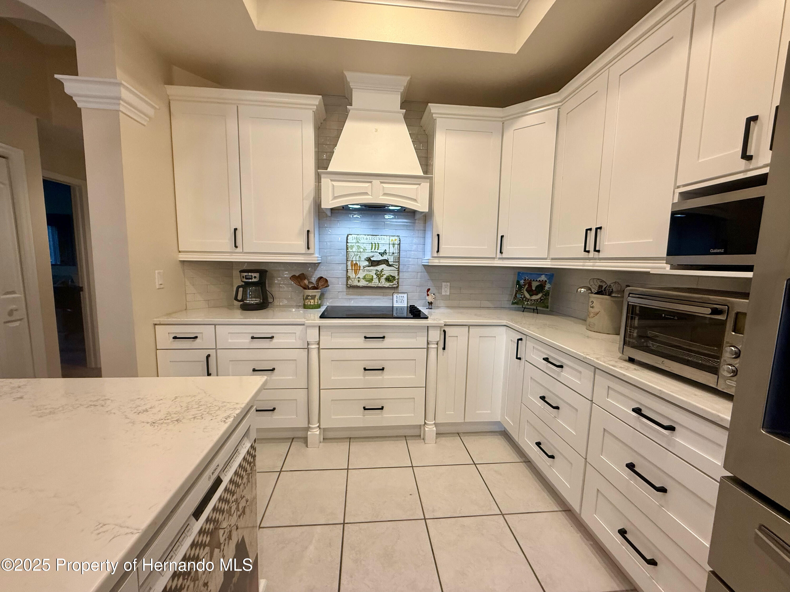 13133 Roseanna Drive, Spring Hill, Florida image 9