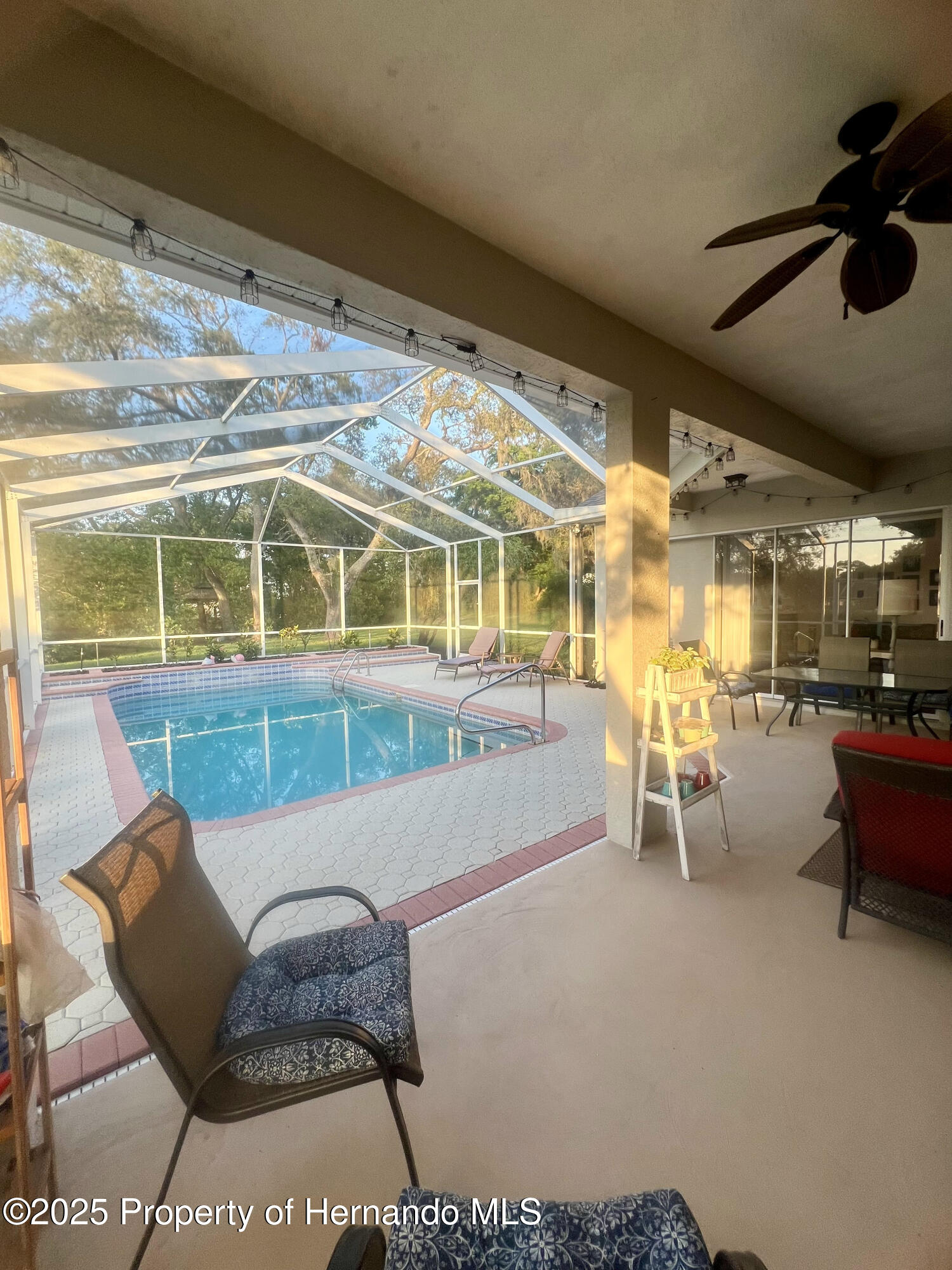 13133 Roseanna Drive, Spring Hill, Florida image 46