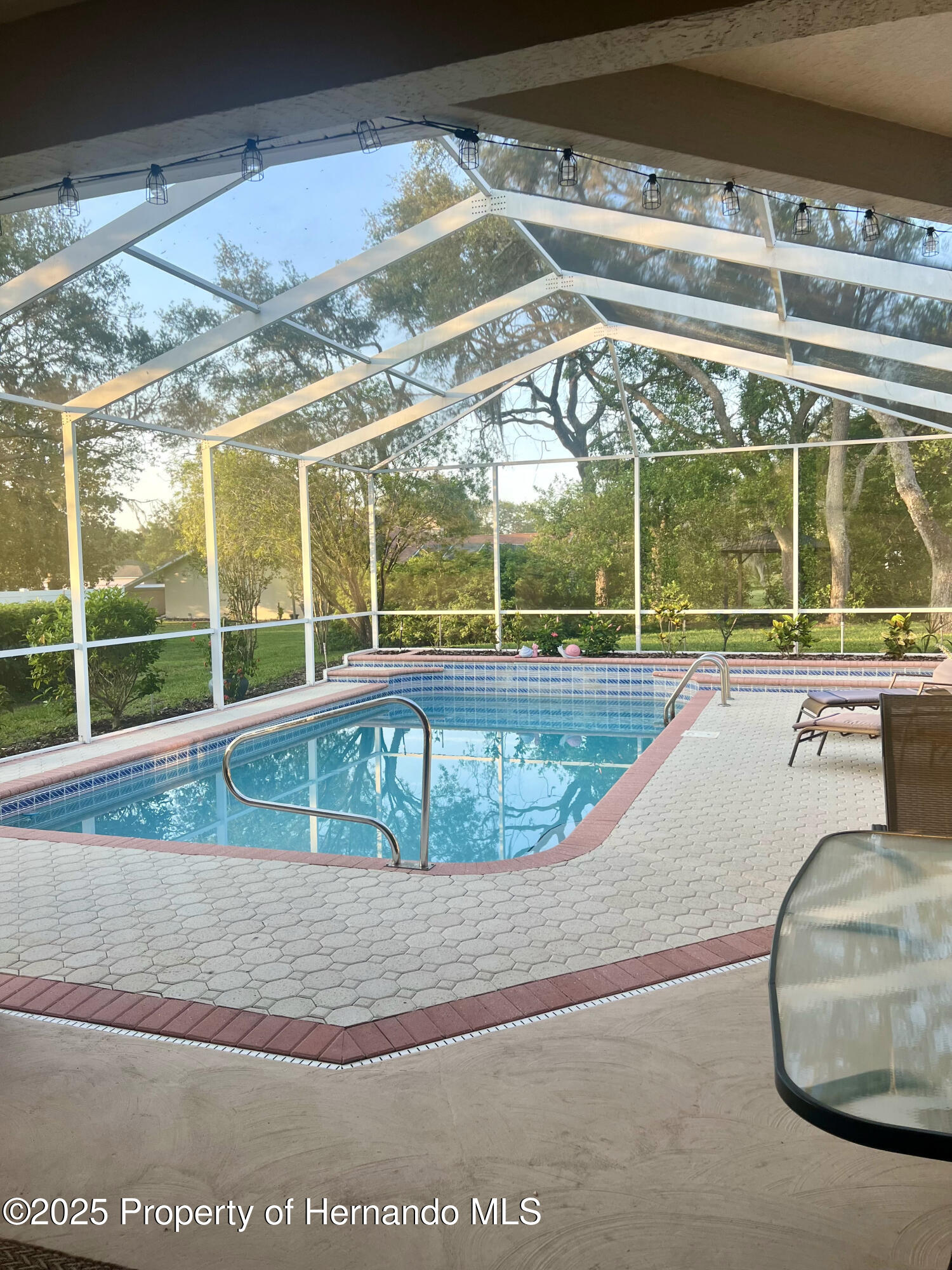 13133 Roseanna Drive, Spring Hill, Florida image 45