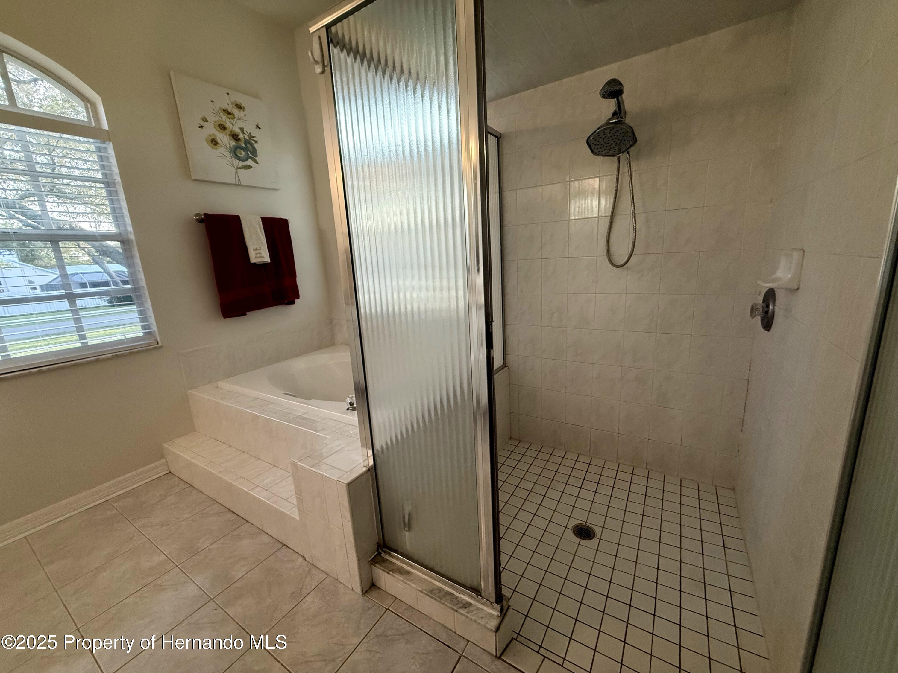 13133 Roseanna Drive, Spring Hill, Florida image 35