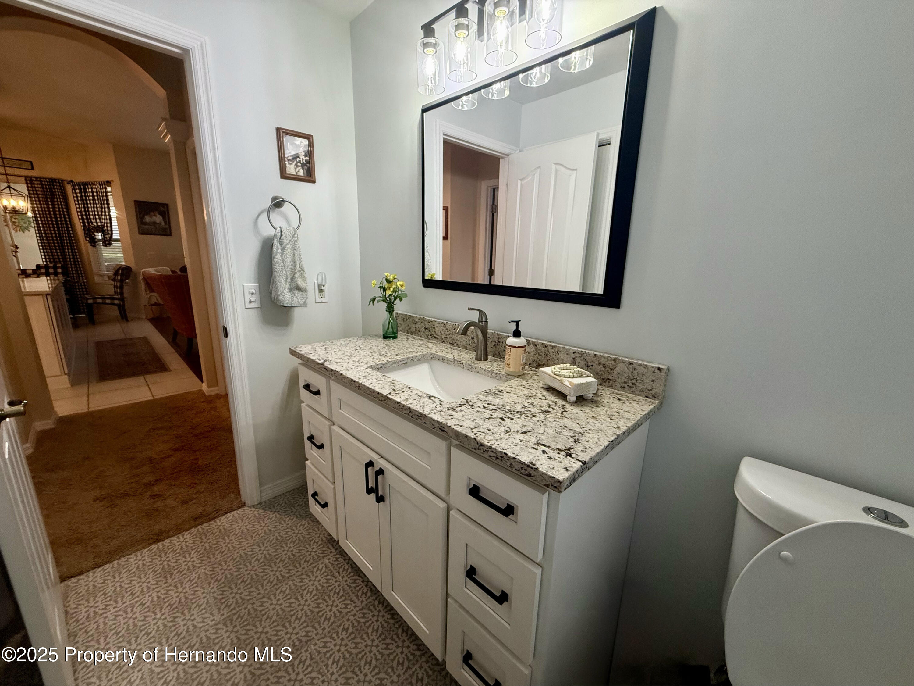 13133 Roseanna Drive, Spring Hill, Florida image 40