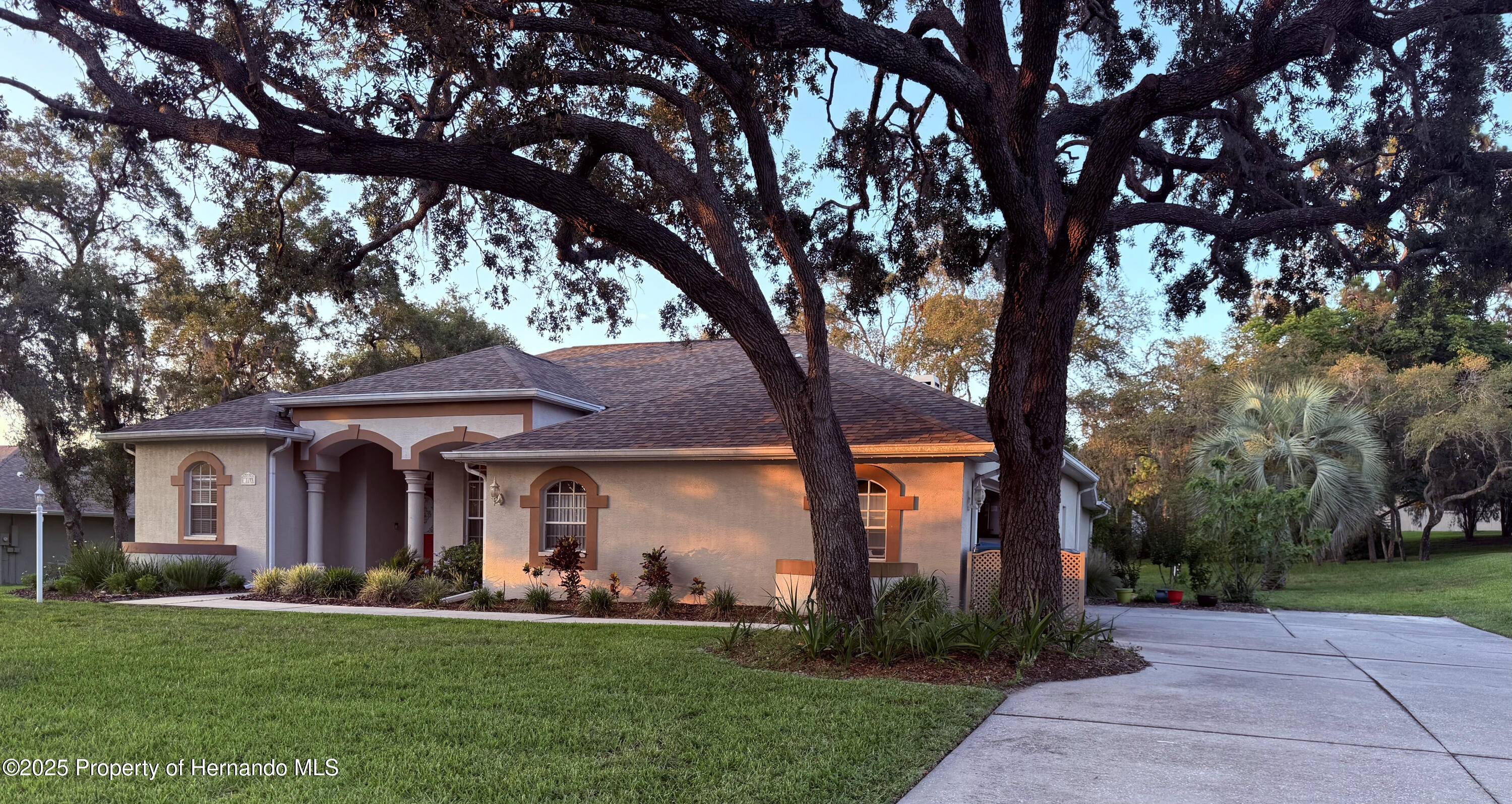 13133 Roseanna Drive, Spring Hill, Florida image 2