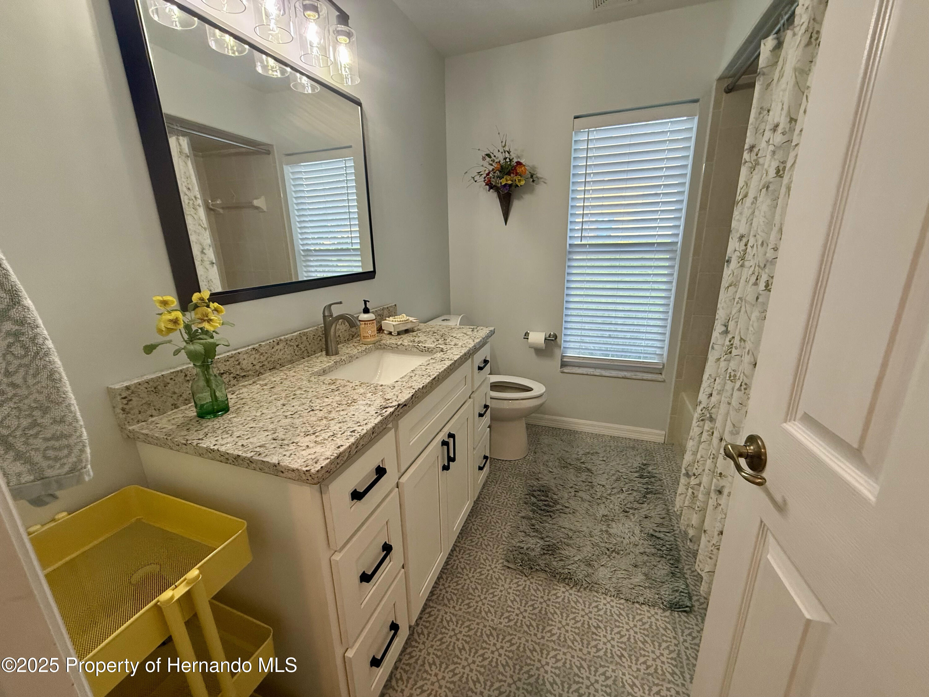 13133 Roseanna Drive, Spring Hill, Florida image 38