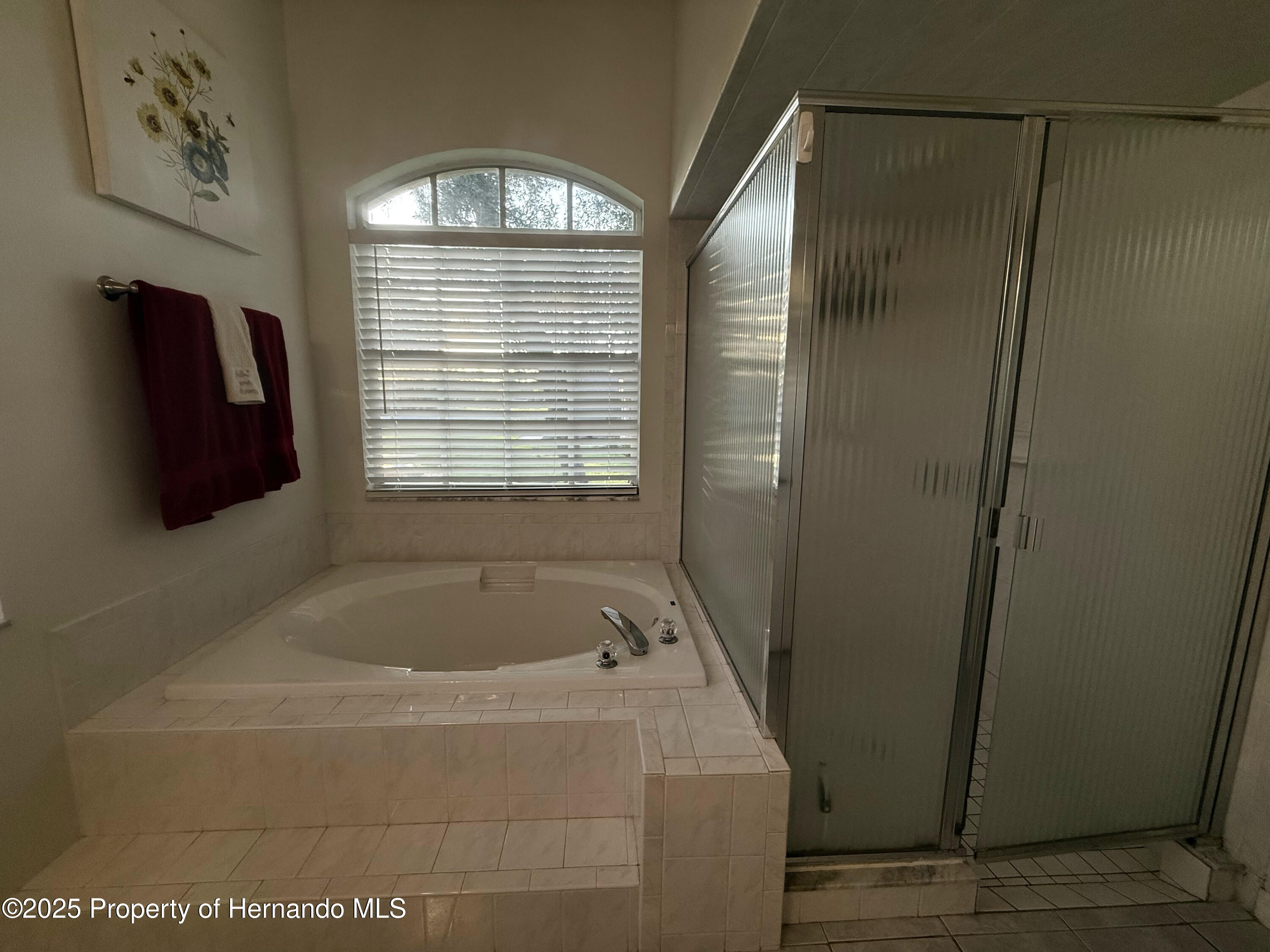 13133 Roseanna Drive, Spring Hill, Florida image 34