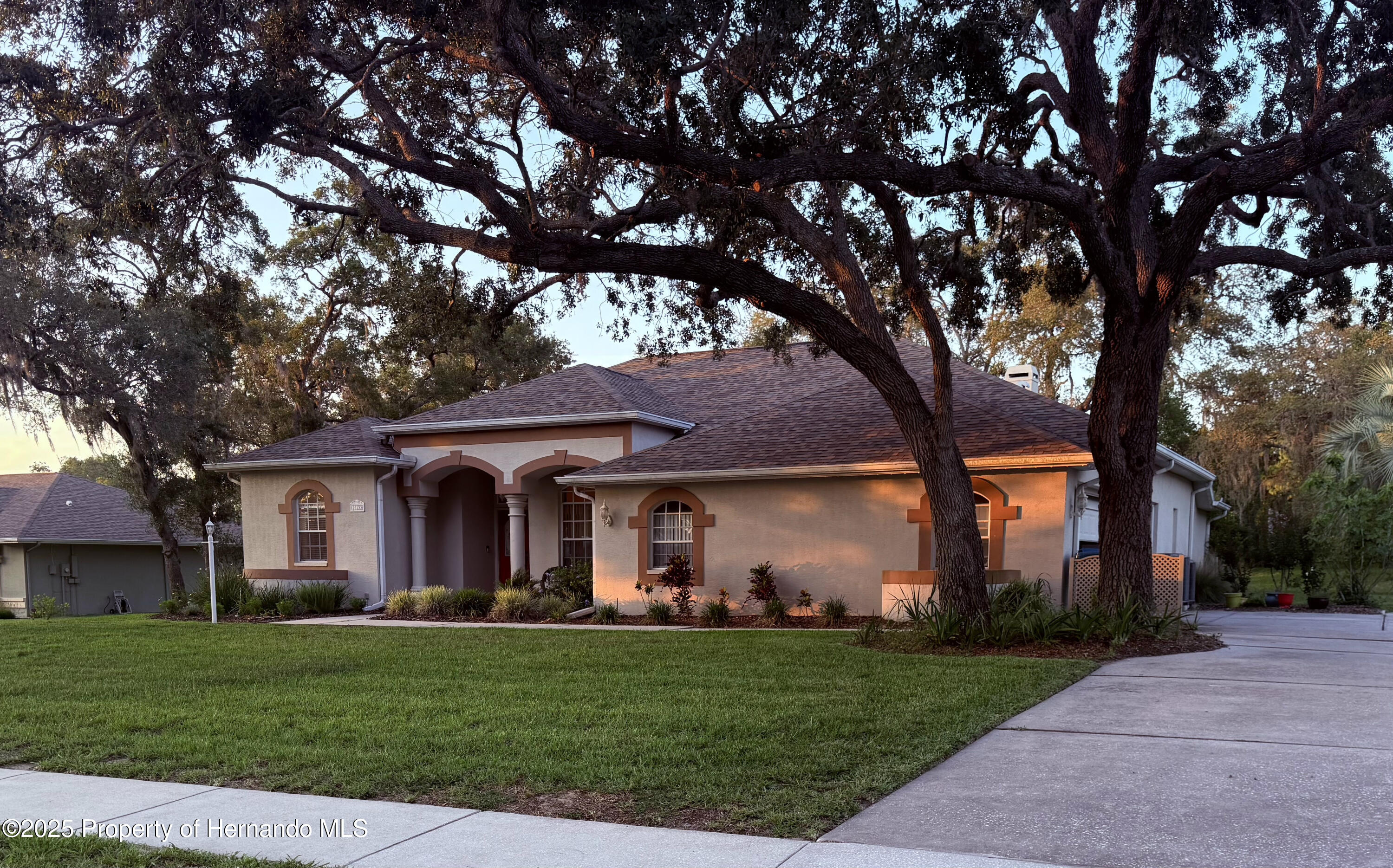 13133 Roseanna Drive, Spring Hill, Florida image 1