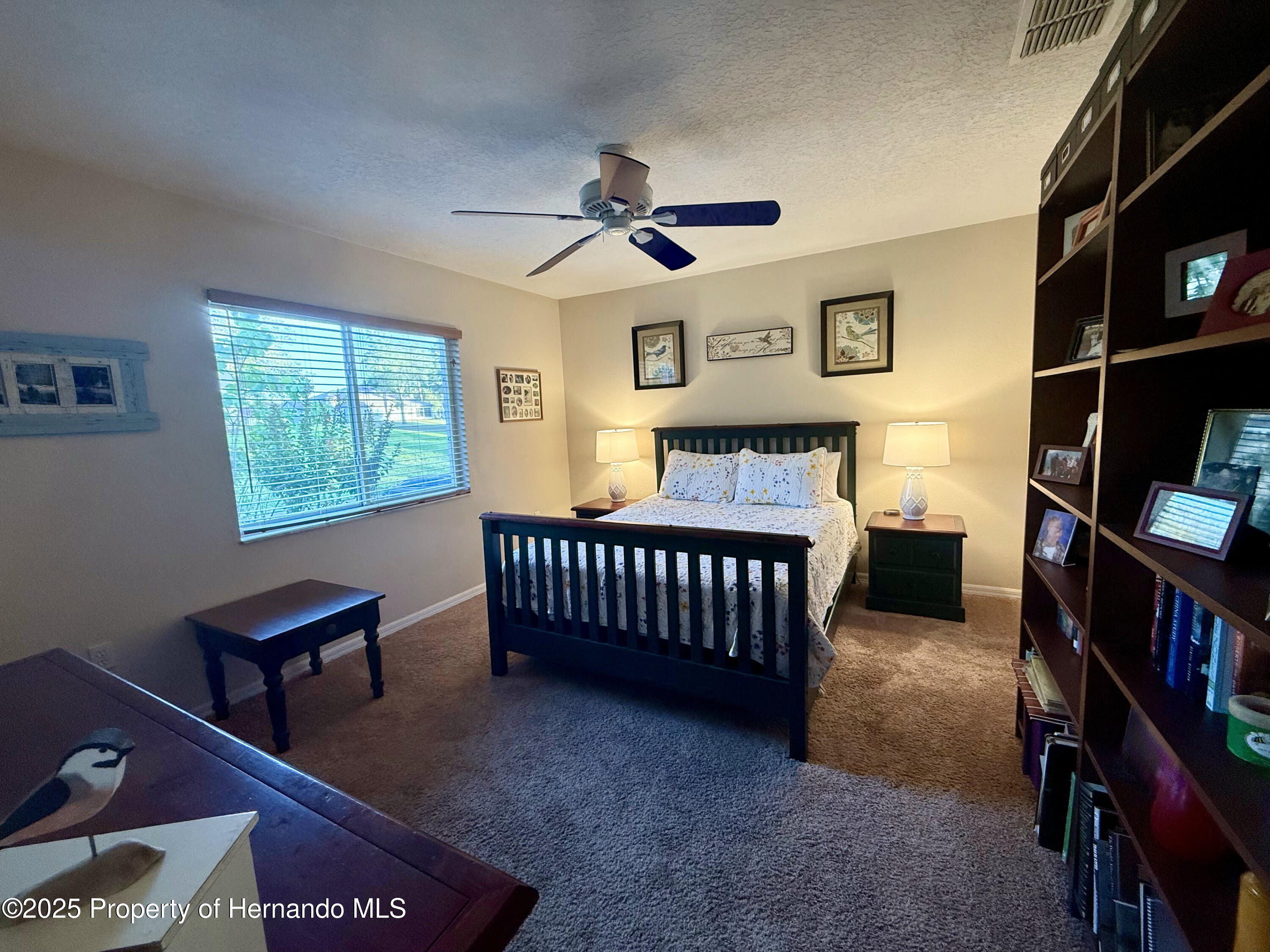 13133 Roseanna Drive, Spring Hill, Florida image 24