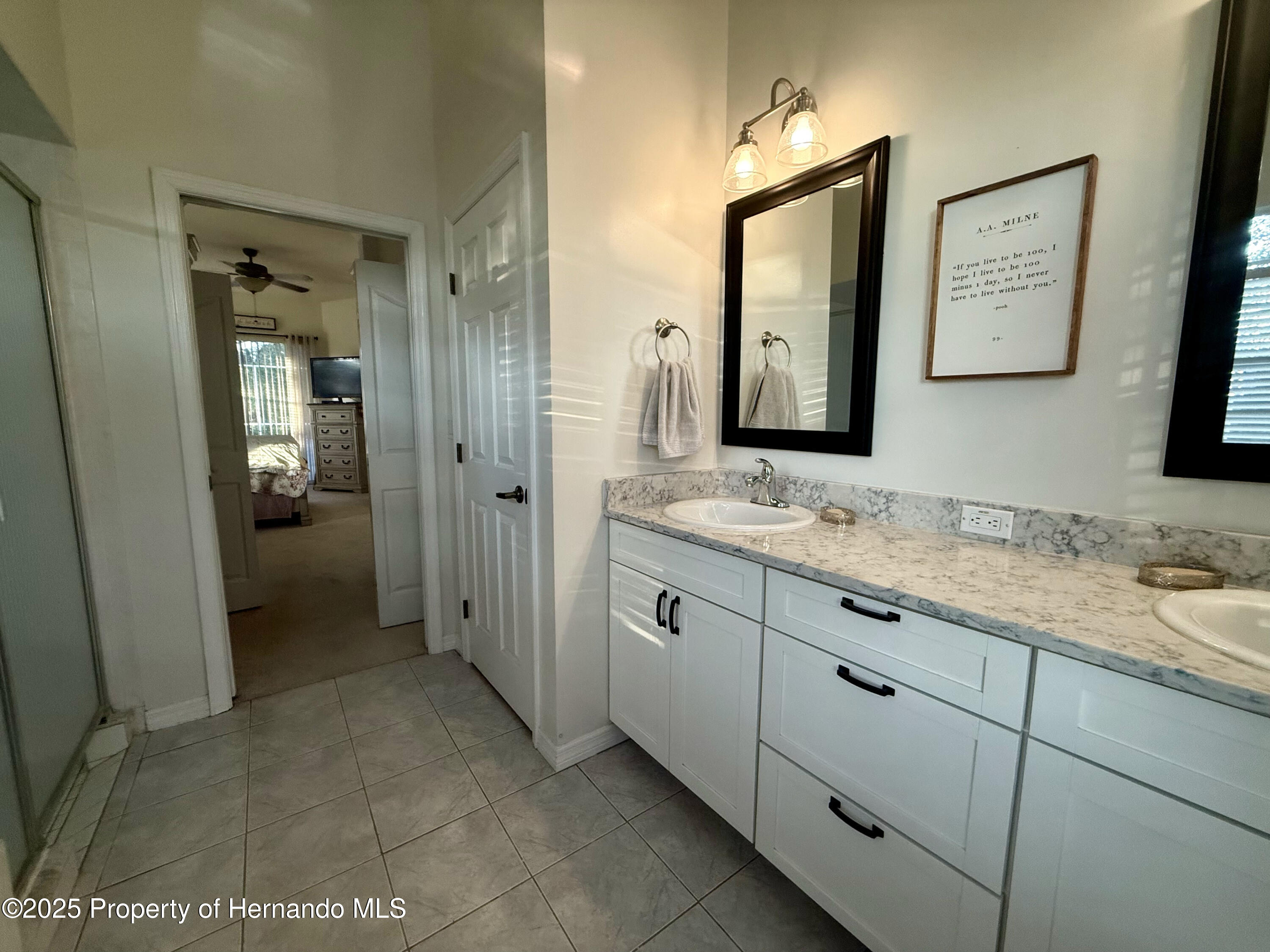 13133 Roseanna Drive, Spring Hill, Florida image 37