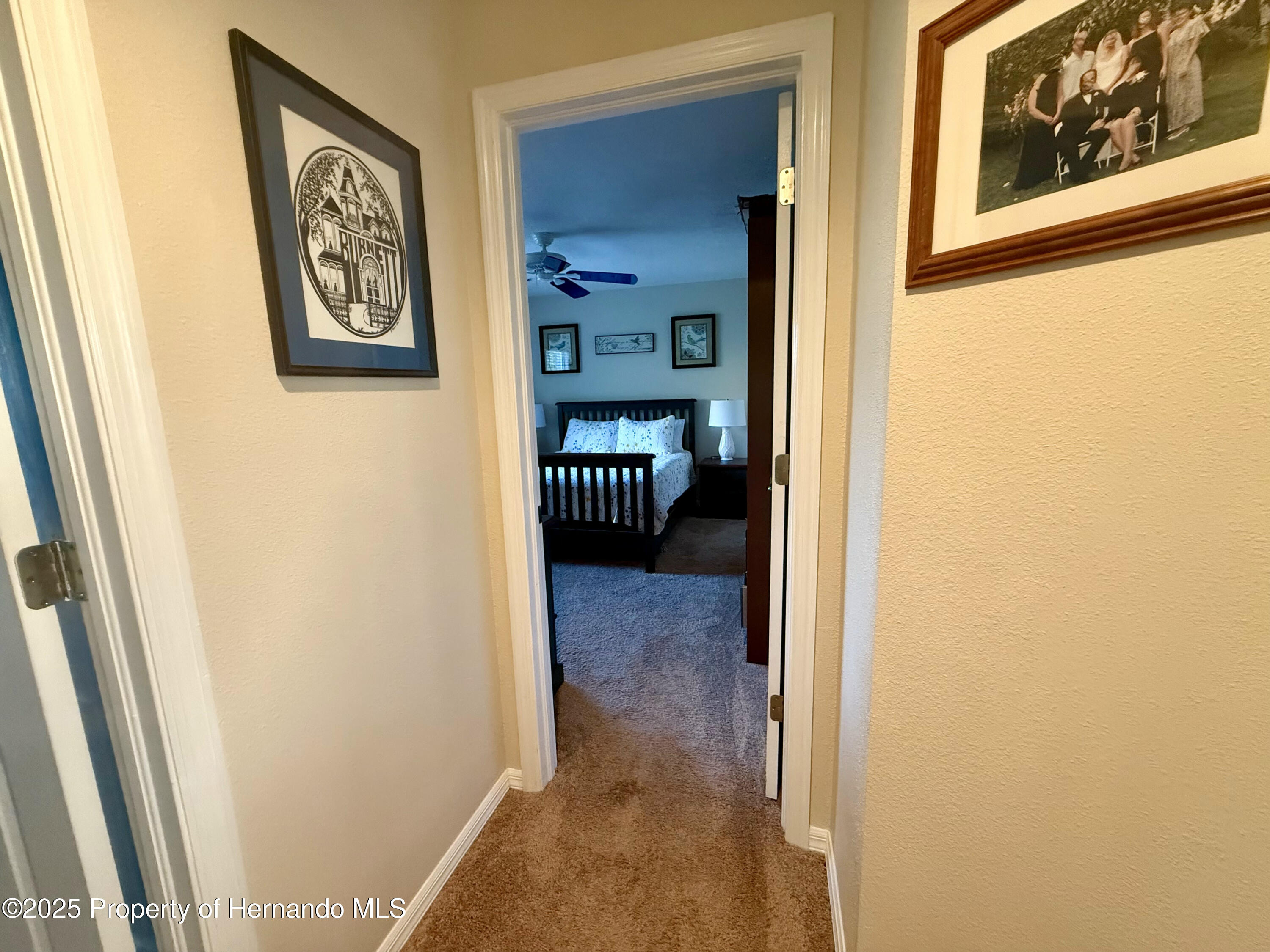 13133 Roseanna Drive, Spring Hill, Florida image 23