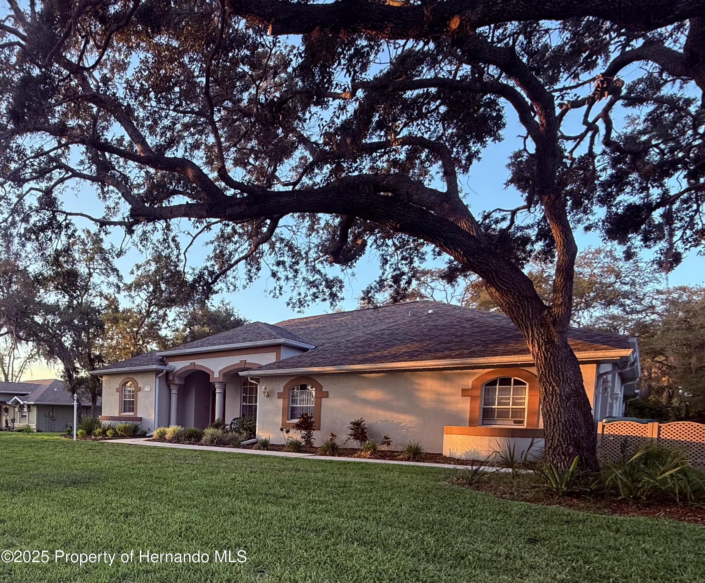 13133 Roseanna Drive, Spring Hill, Florida image 3