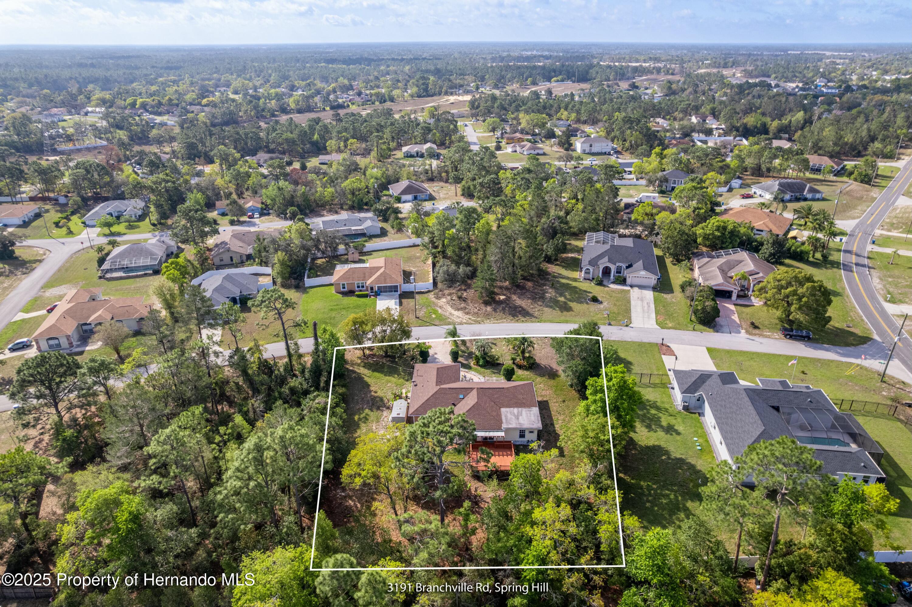 13191 Branchville Road, Spring Hill, Florida image 4