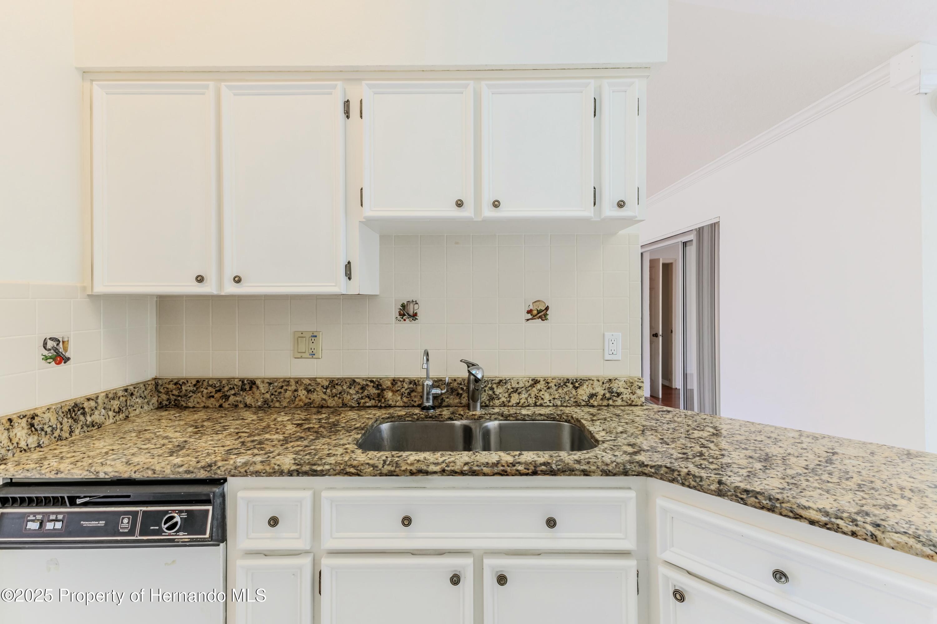 13191 Branchville Road, Spring Hill, Florida image 15