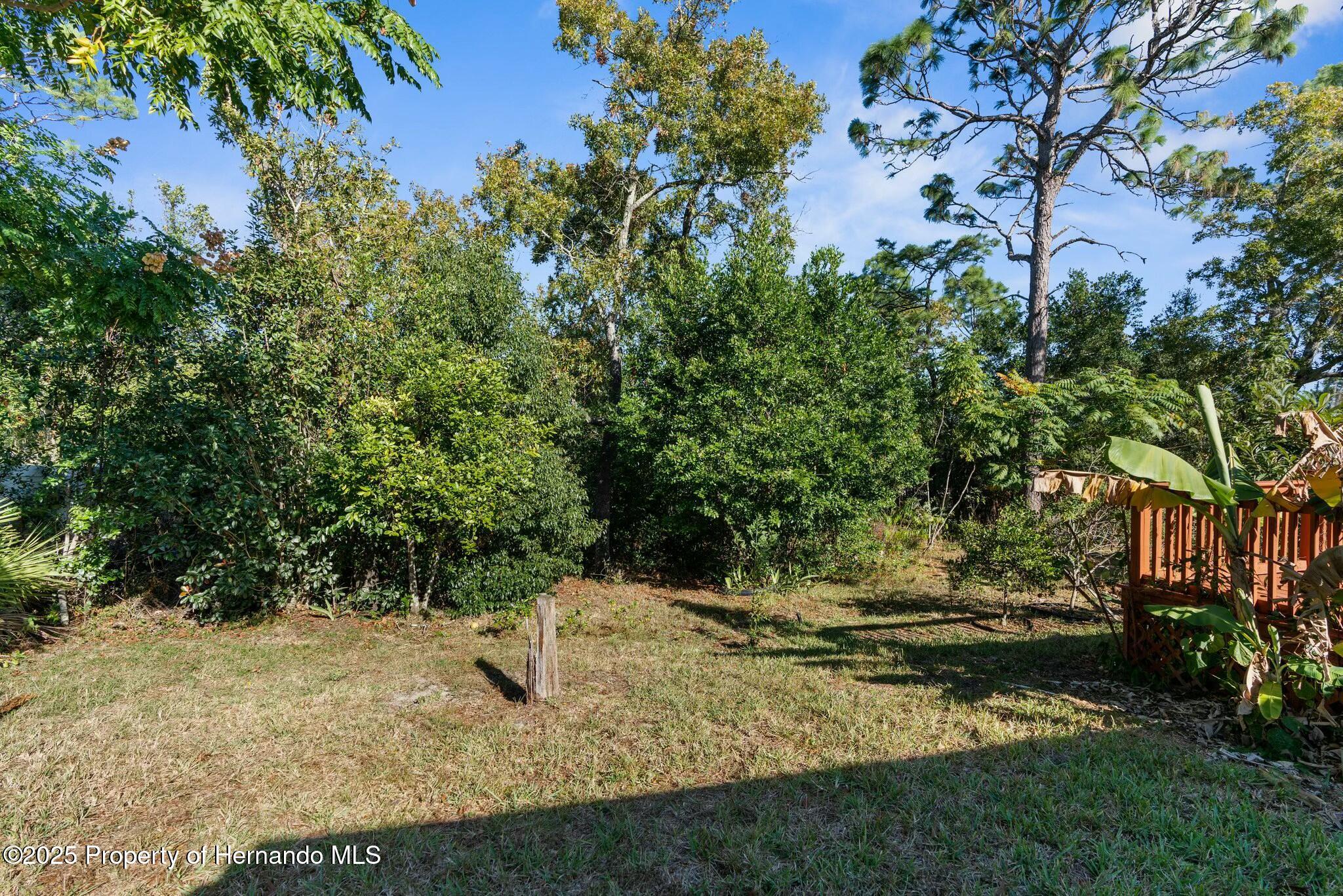 13191 Branchville Road, Spring Hill, Florida image 6