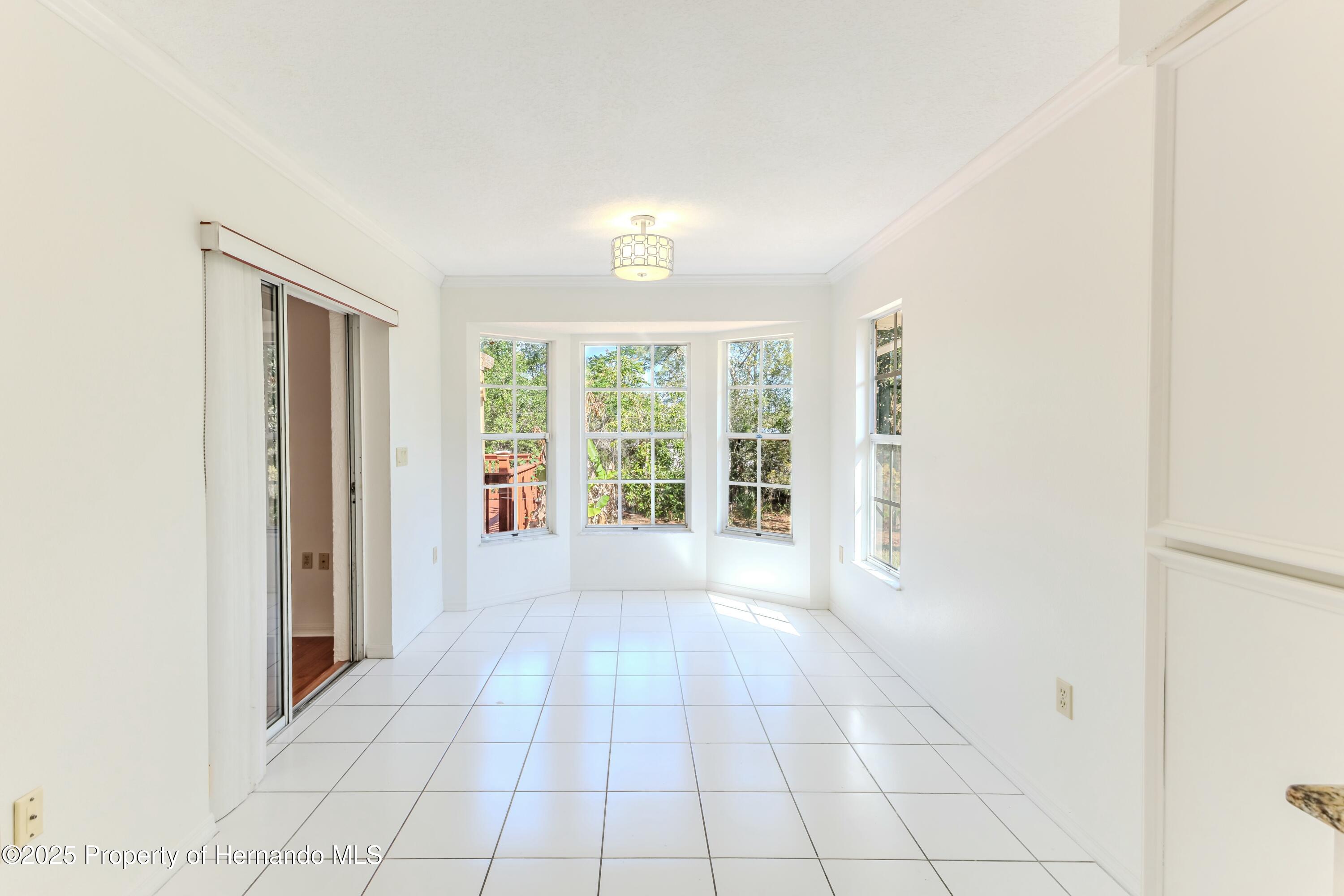 13191 Branchville Road, Spring Hill, Florida image 19