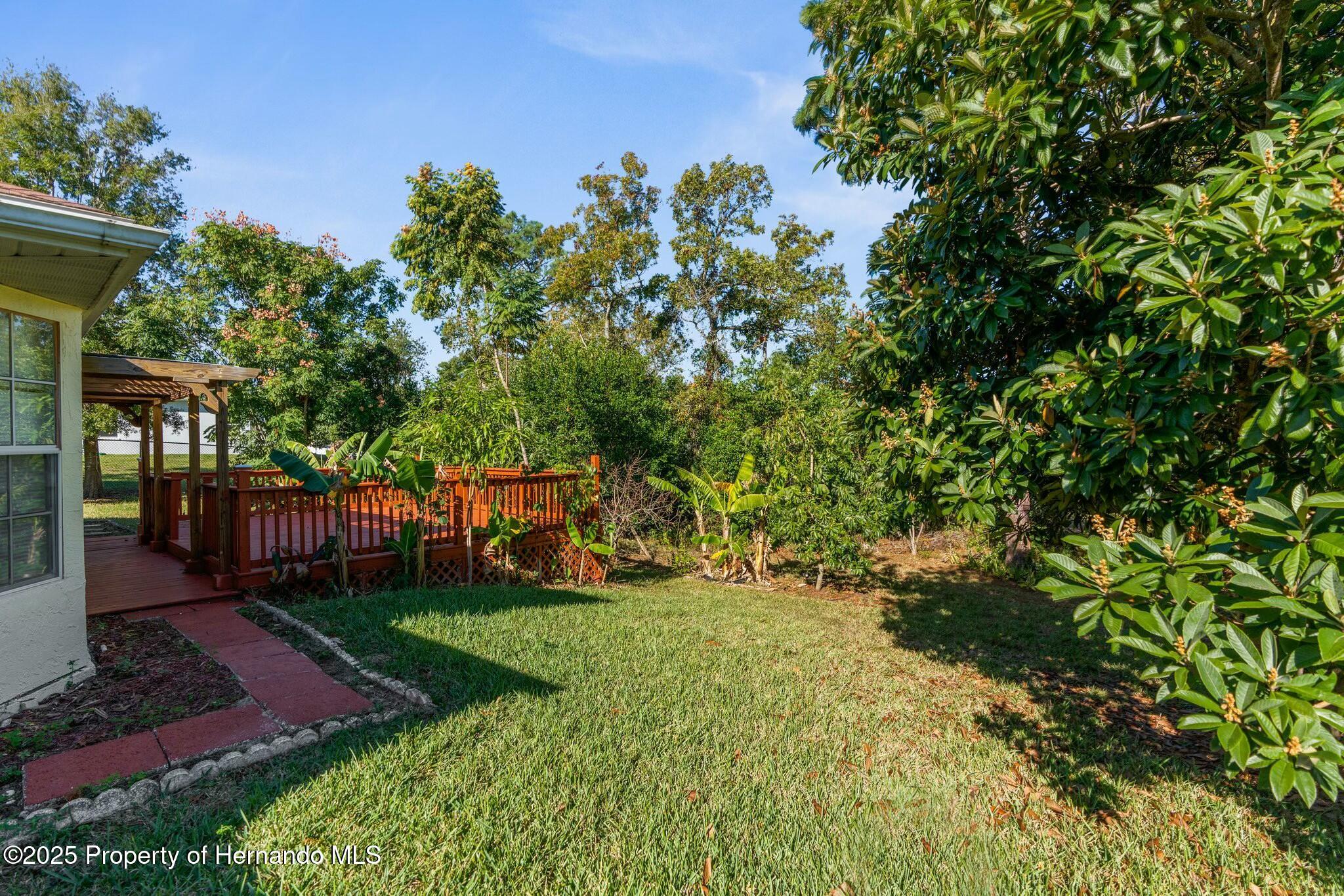 13191 Branchville Road, Spring Hill, Florida image 5