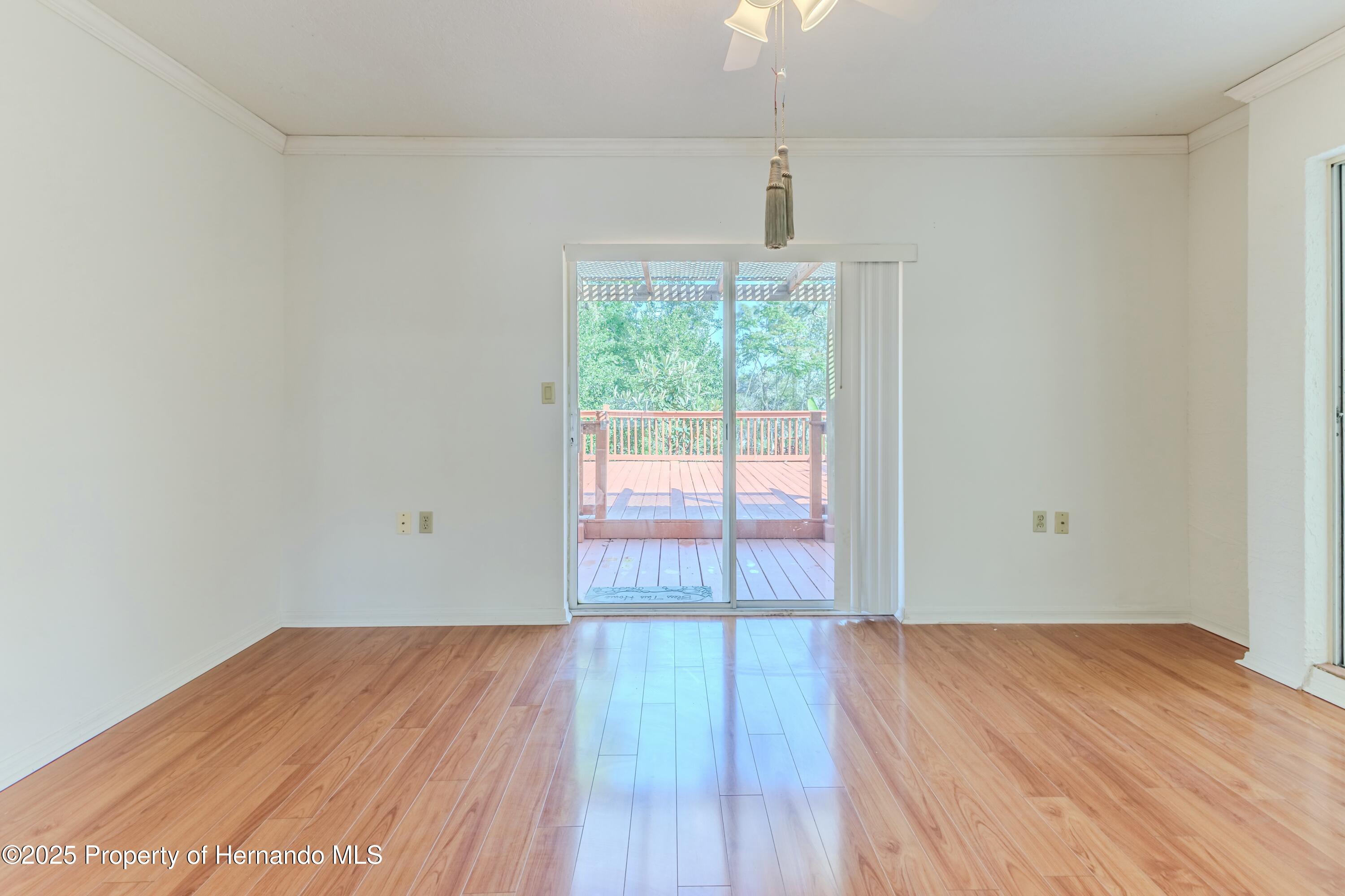 13191 Branchville Road, Spring Hill, Florida image 21