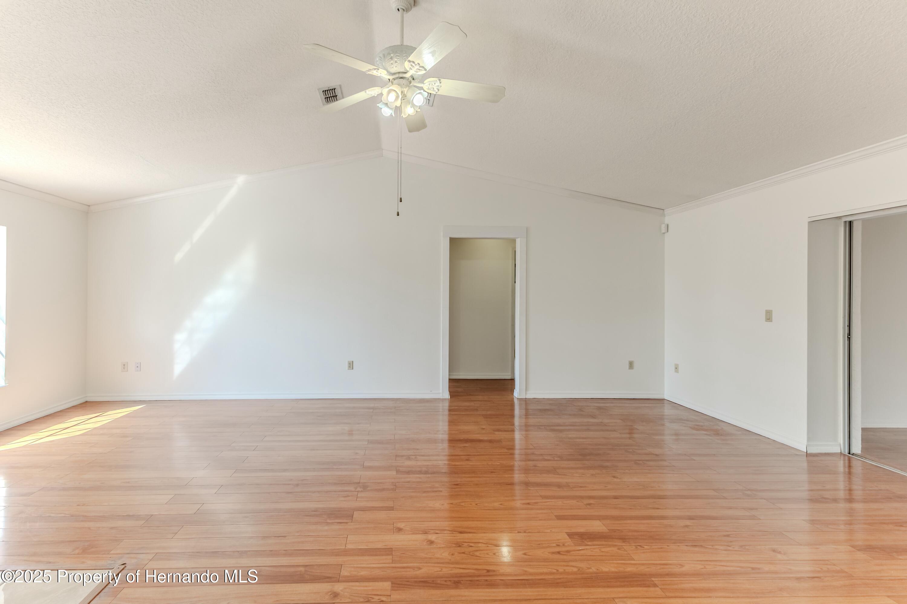 13191 Branchville Road, Spring Hill, Florida image 11