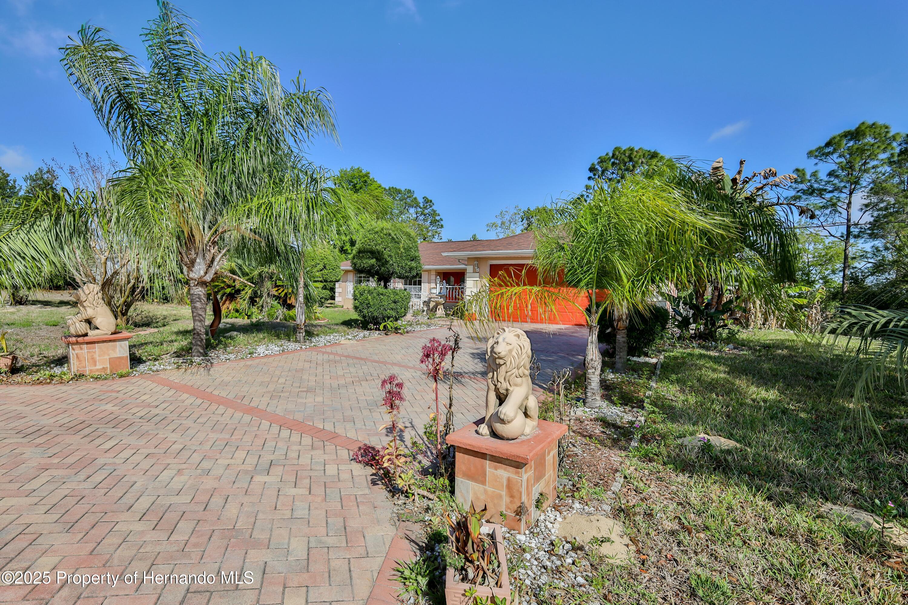 13191 Branchville Road, Spring Hill, Florida image 41