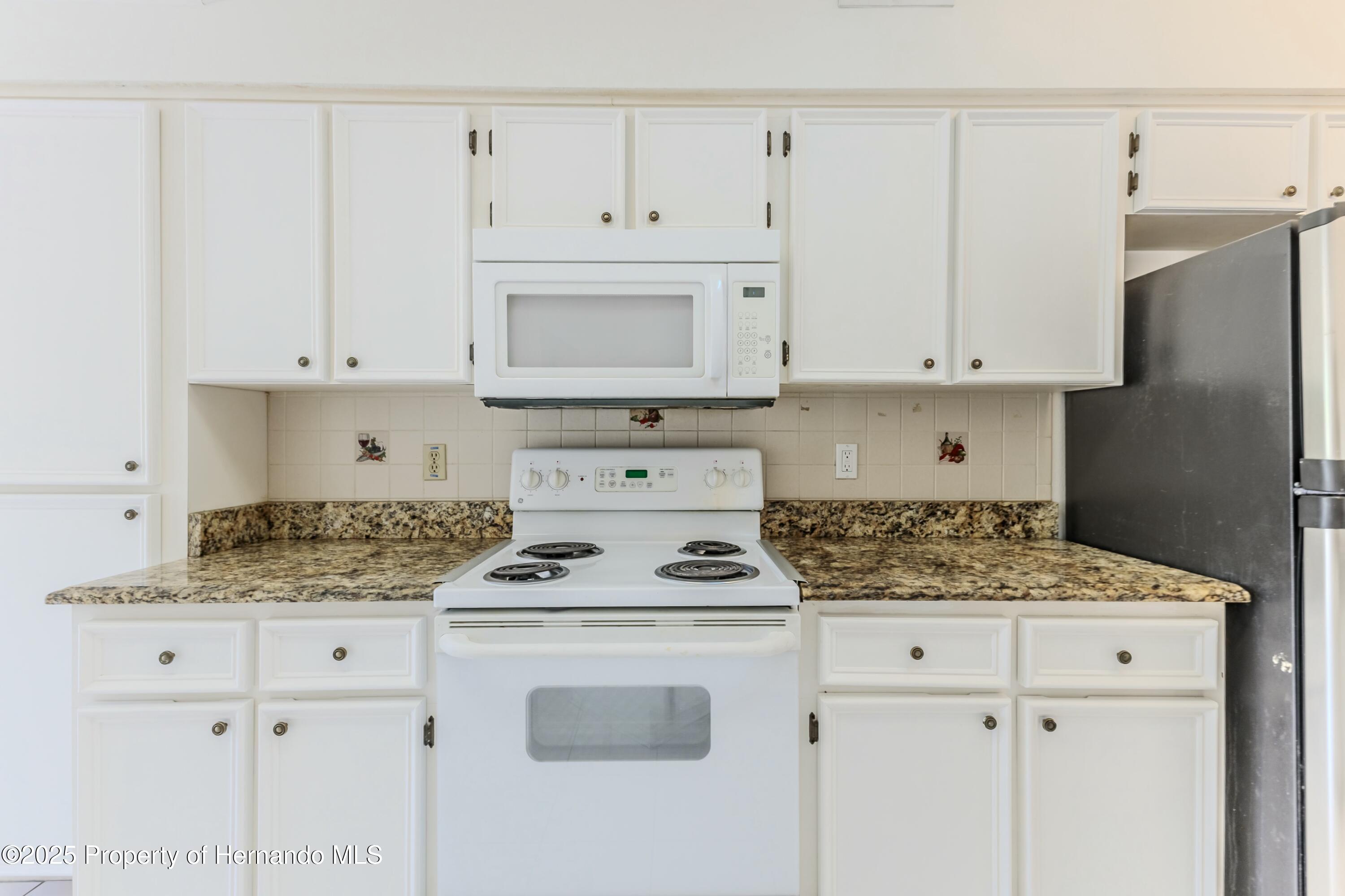13191 Branchville Road, Spring Hill, Florida image 16