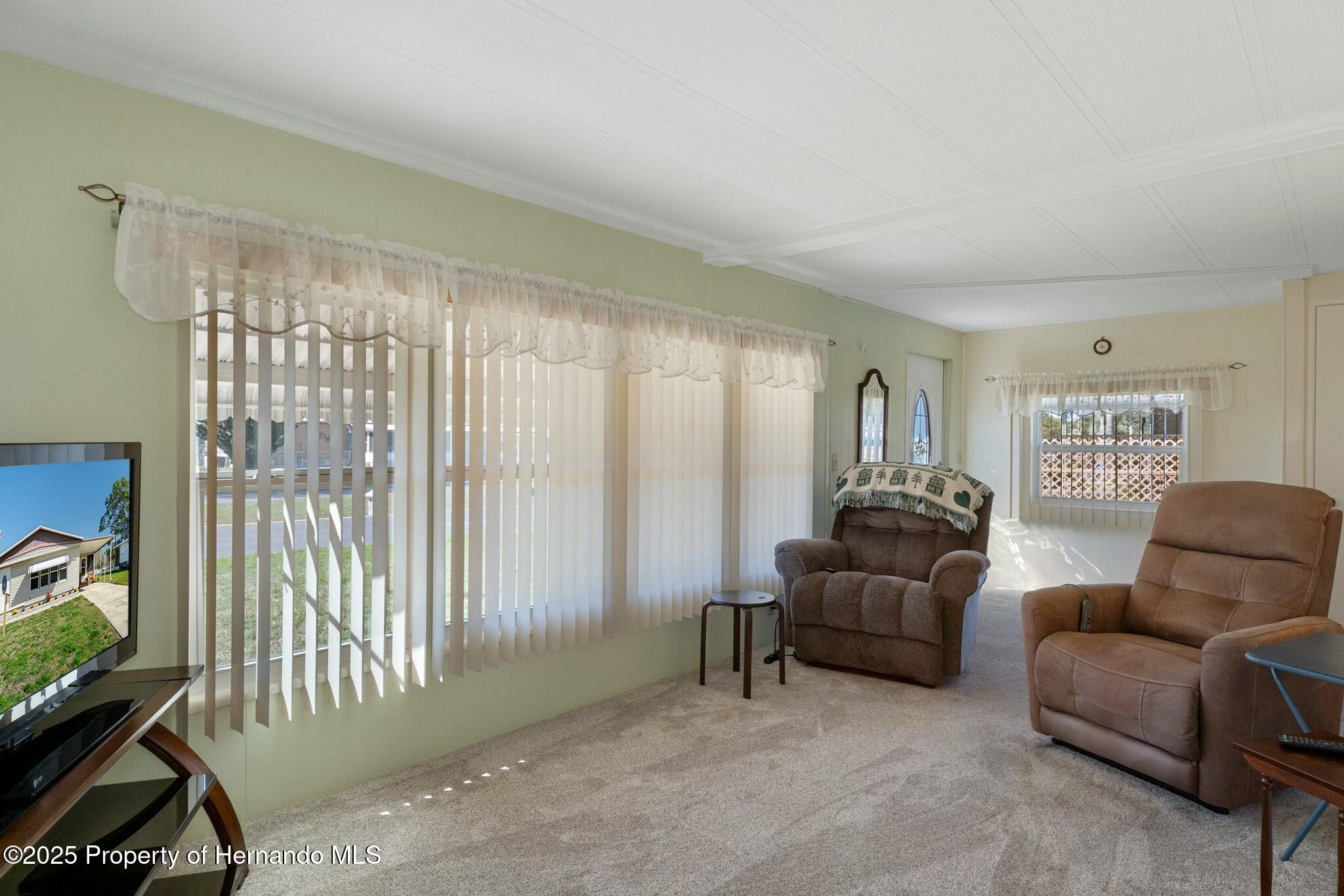 14751 Brookridge Boulevard, Brooksville, Florida image 12