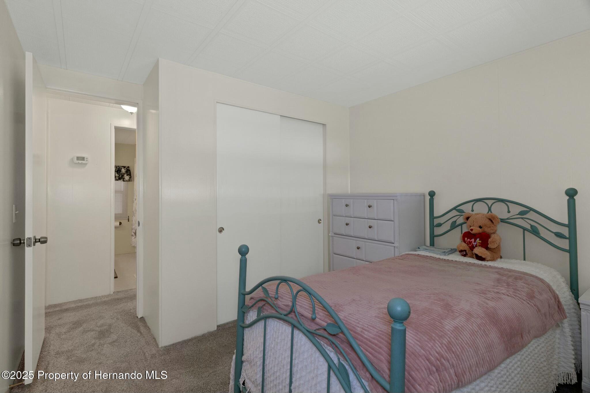 14751 Brookridge Boulevard, Brooksville, Florida image 29