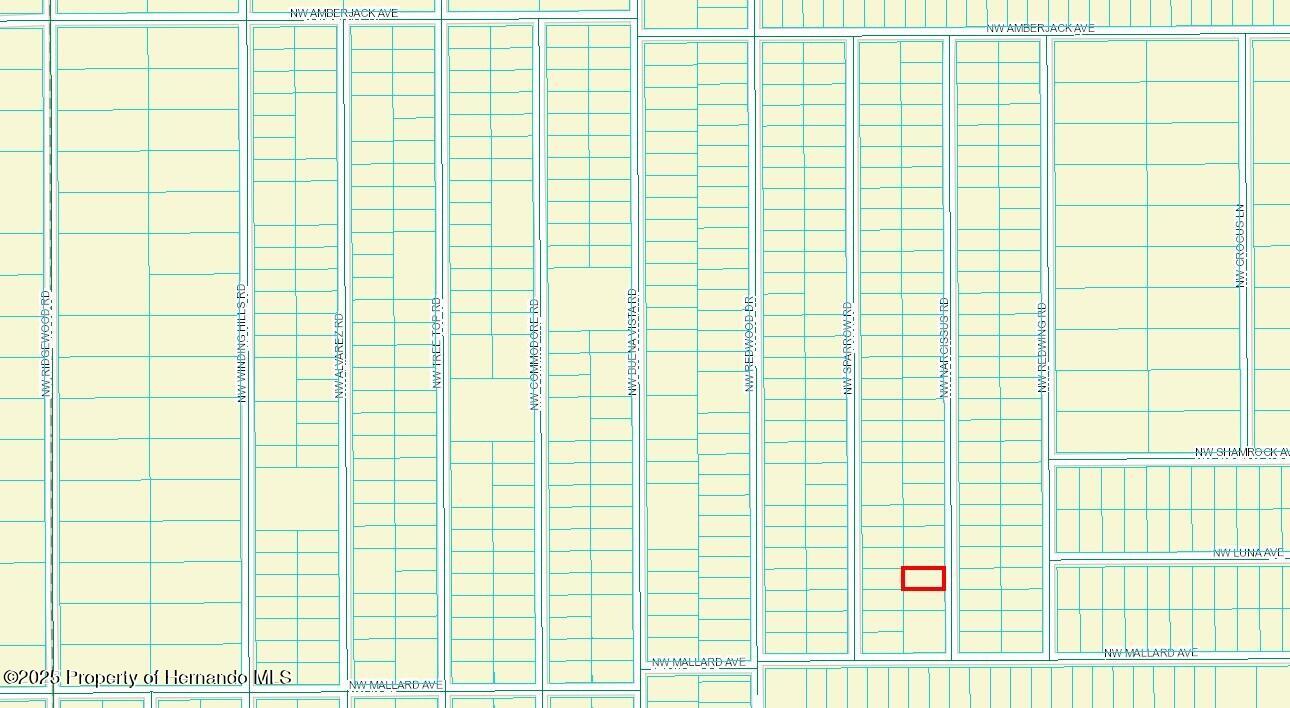 450111 Nw Narcissus Road, Dunnellon, Florida image 2