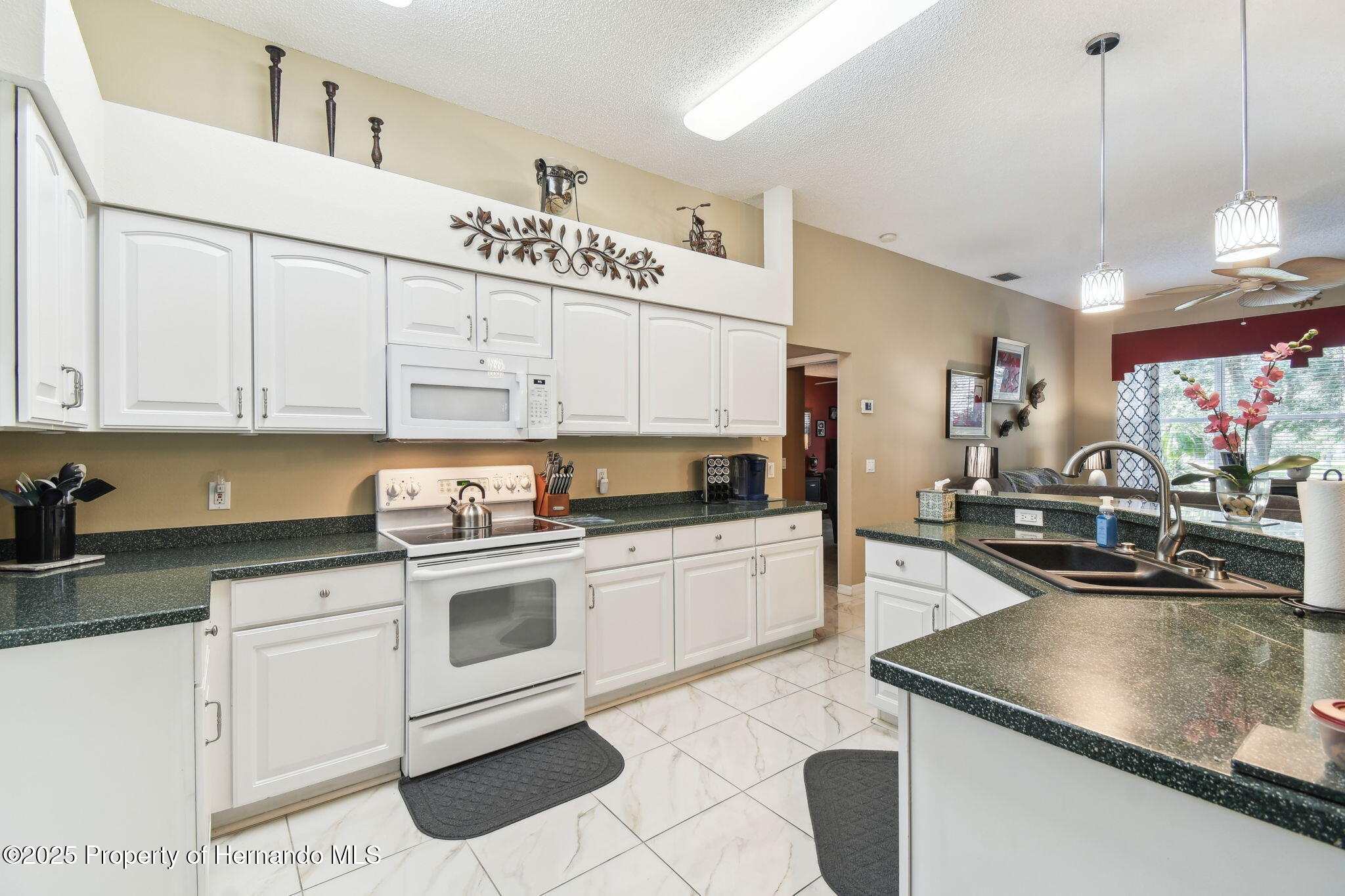 18532 Myrtlewood Drive, Hudson, Florida image 11